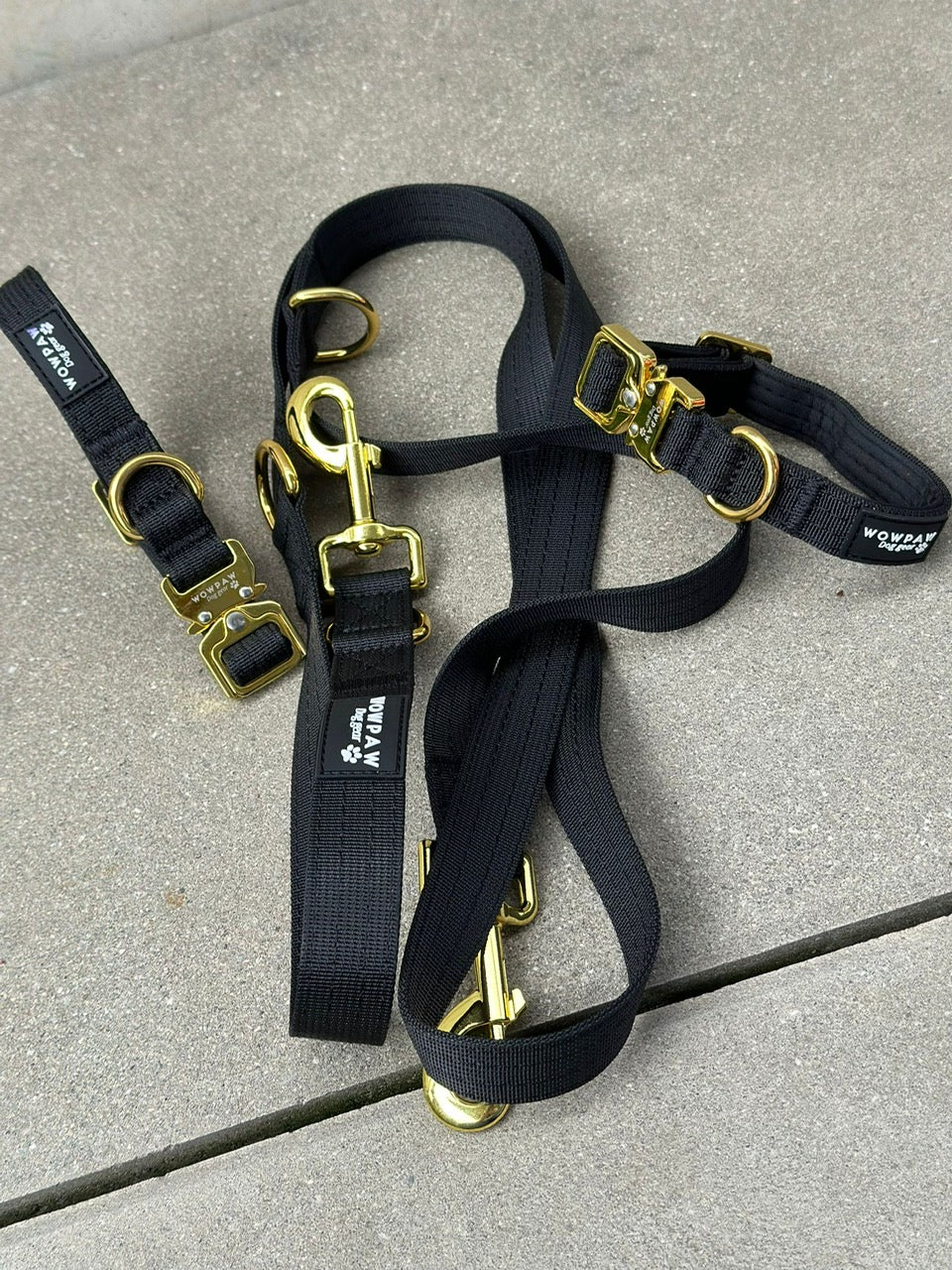 Standard Hundeleine M verstellbar Länge 2m Schwarz x Gold