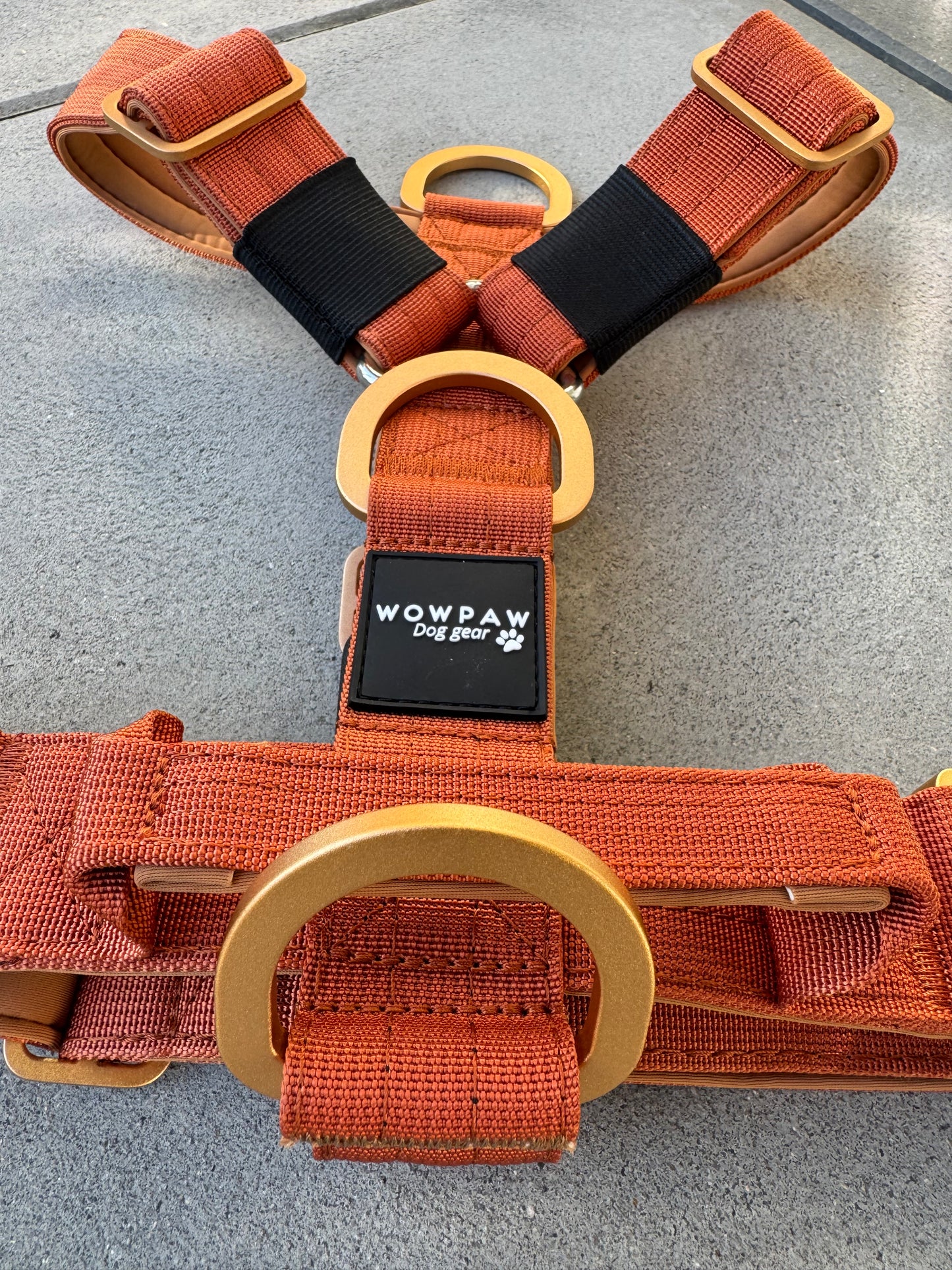 Hochwertiges Hundegeschirr S Kupfer Edition