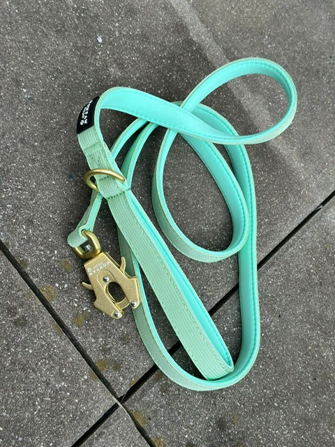 Guinzaglio tattico per cani con moschettone a rana, girevole a 360°, lunghezza 1,8 menta / oro rosa