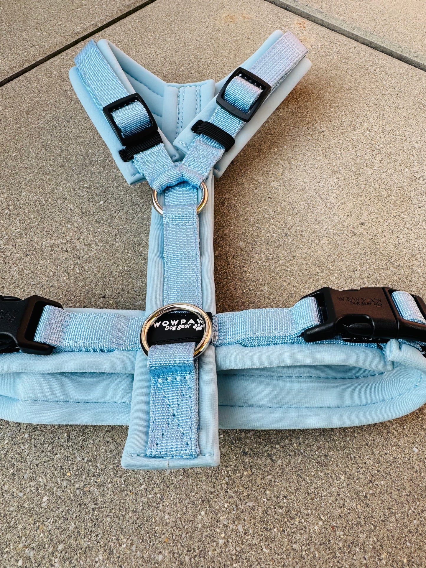 Hochwertiges Hundegeschirr FLOW Sky Blue Edition