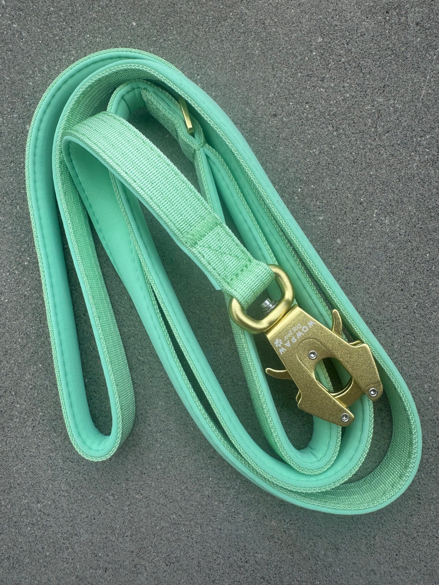 Guinzaglio tattico per cani con moschettone a rana, girevole a 360°, lunghezza 1,8 menta / oro rosa