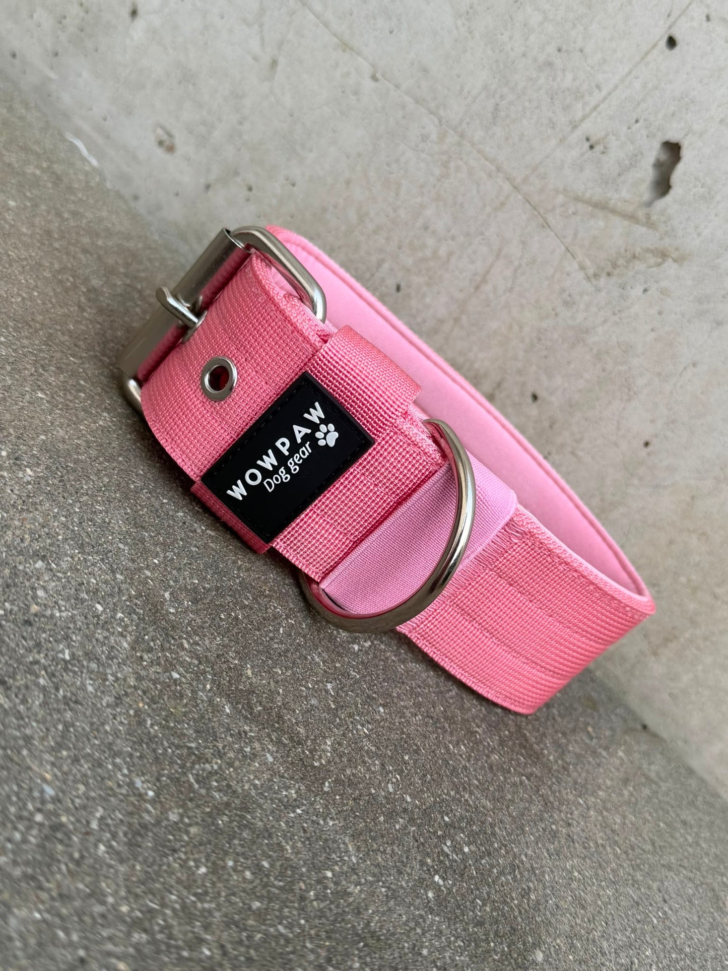 Collare per cani basic di alta qualità arancione neon taglia M