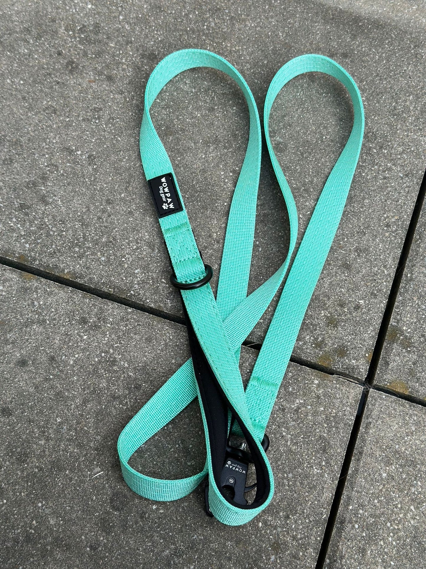 Taktische Hundeleine ULTRA LIGHT SOFTLINE XXS Mint – 1,5 m mit Mini-Froschkarabiner