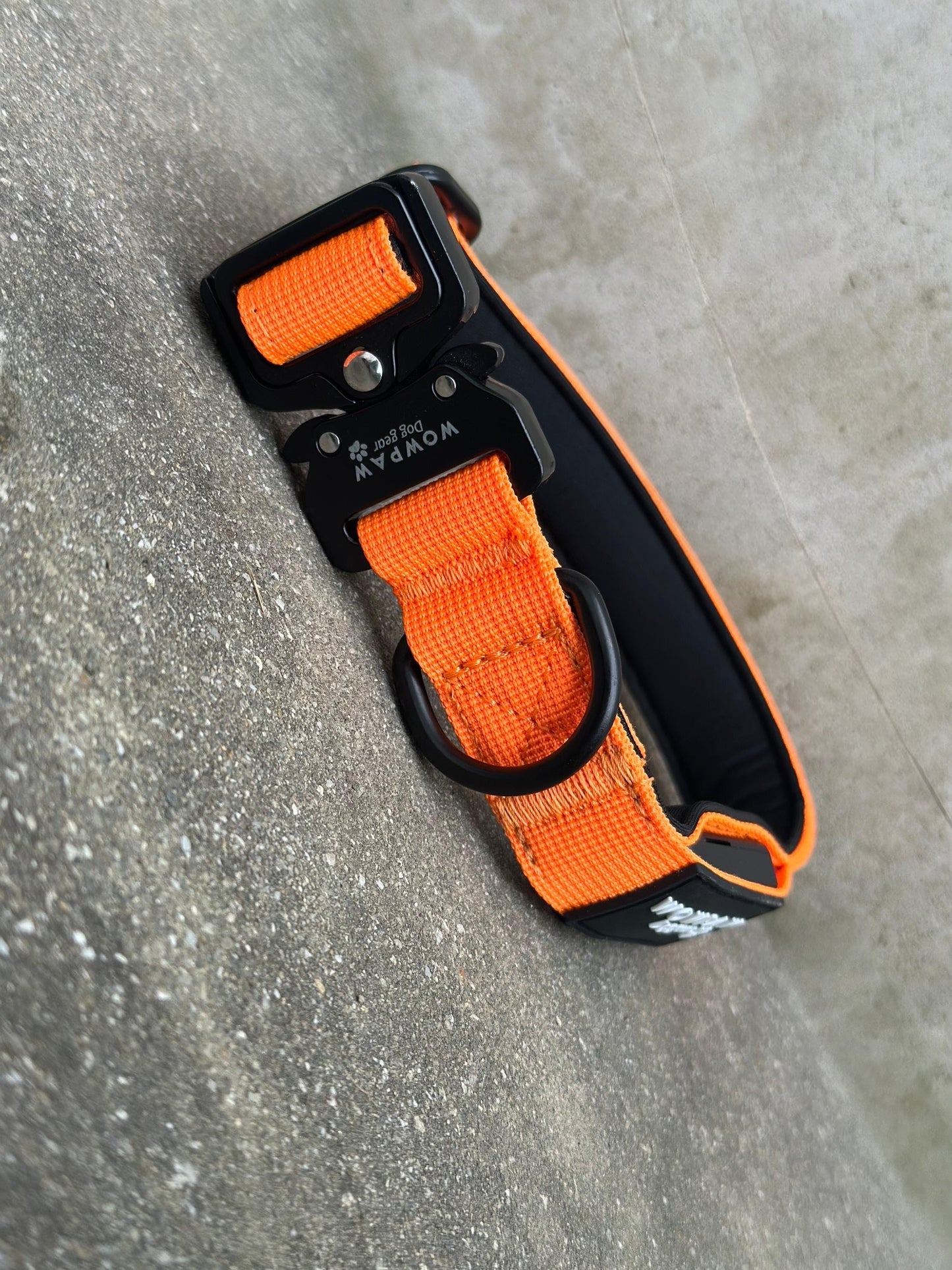 LED-Hundehalsband Neonorange Größe XS 2,5cm