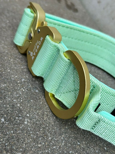 Taktisches Hundehalsband ULTRA LIGHT 3,8cm Pistaziengrün Edition S