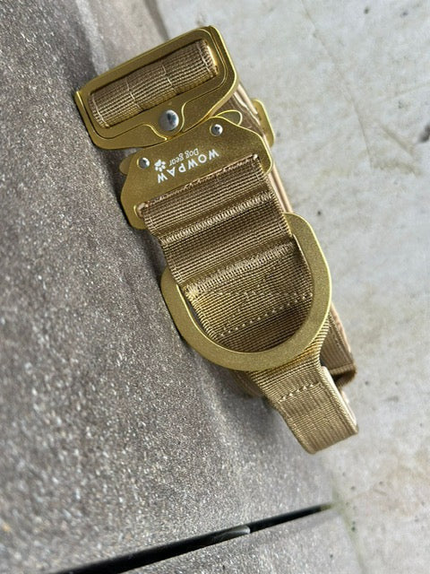 Taktisches Hundehalsband ULTRA LIGHT 5cm Sand Olive Edition S