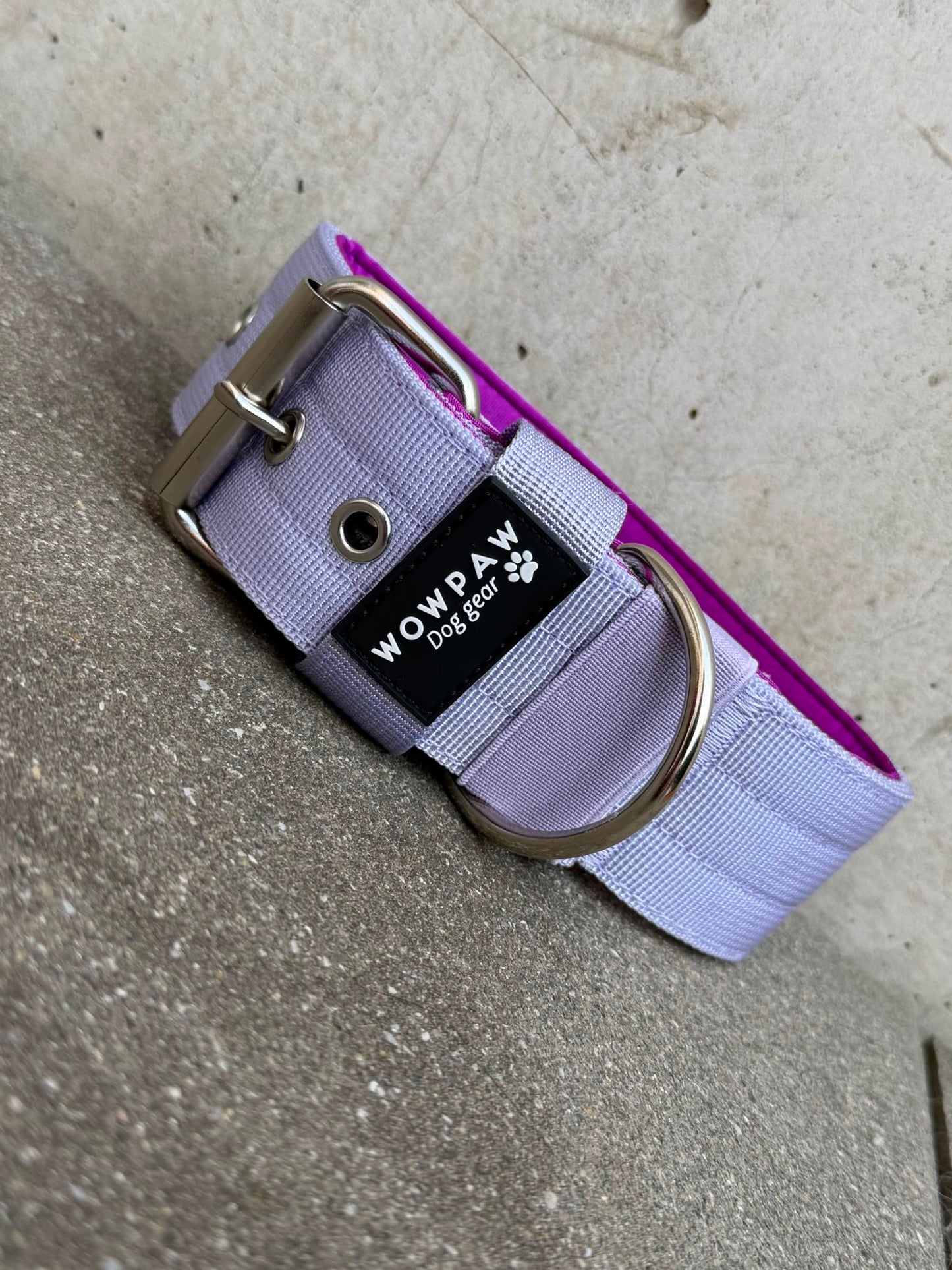 Collare per cani basic di alta qualità arancione neon taglia M