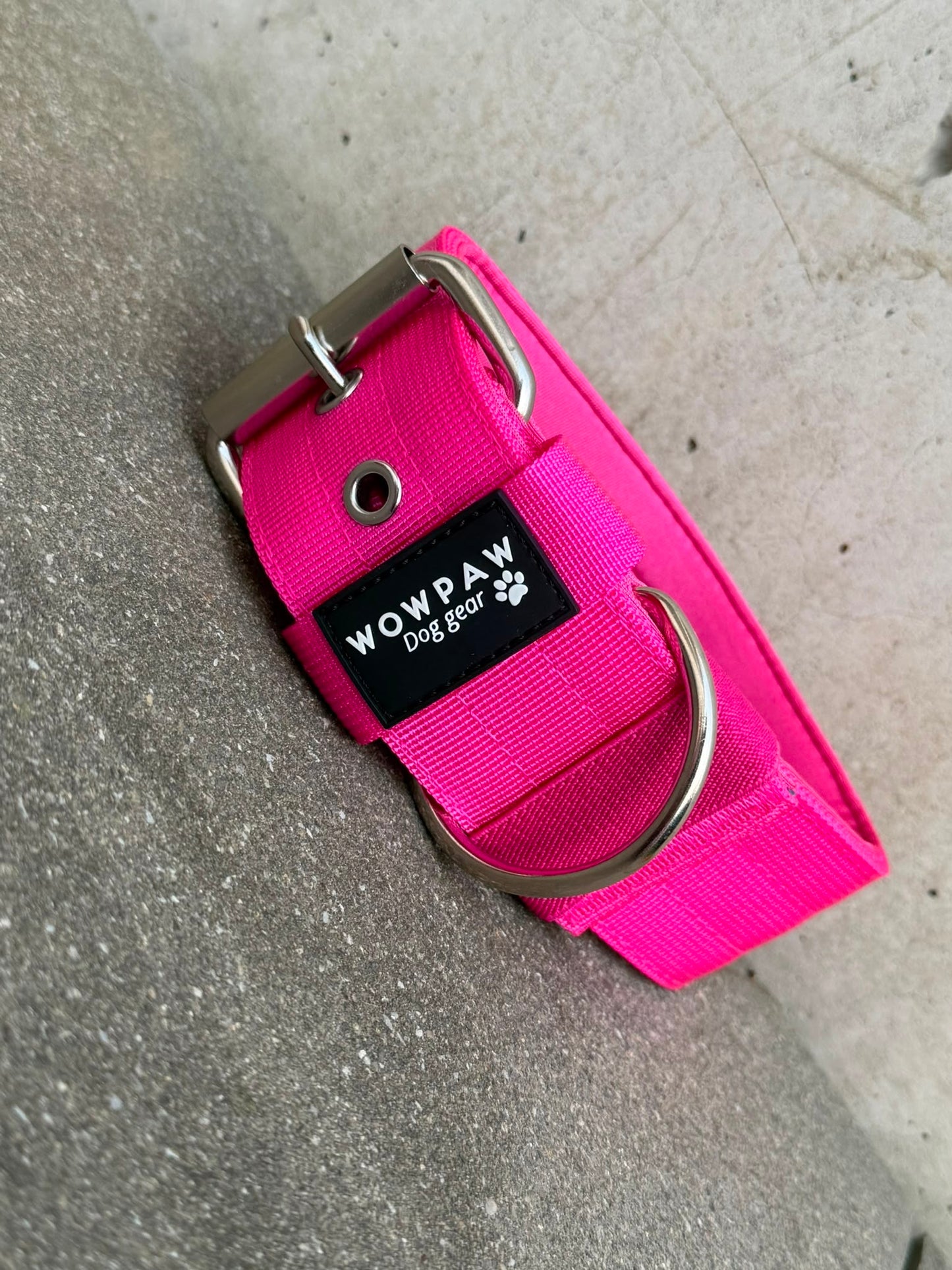 Collare per cani basic di alta qualità arancione neon taglia M
