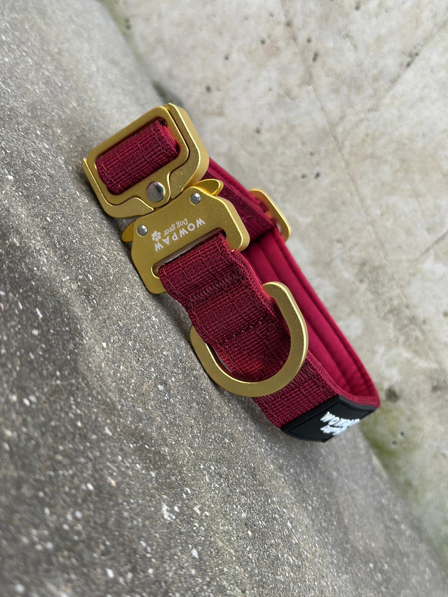 Hochwertiges taktisches Hundehalsband XS 2,5cm Burgund Edition ohne Griff