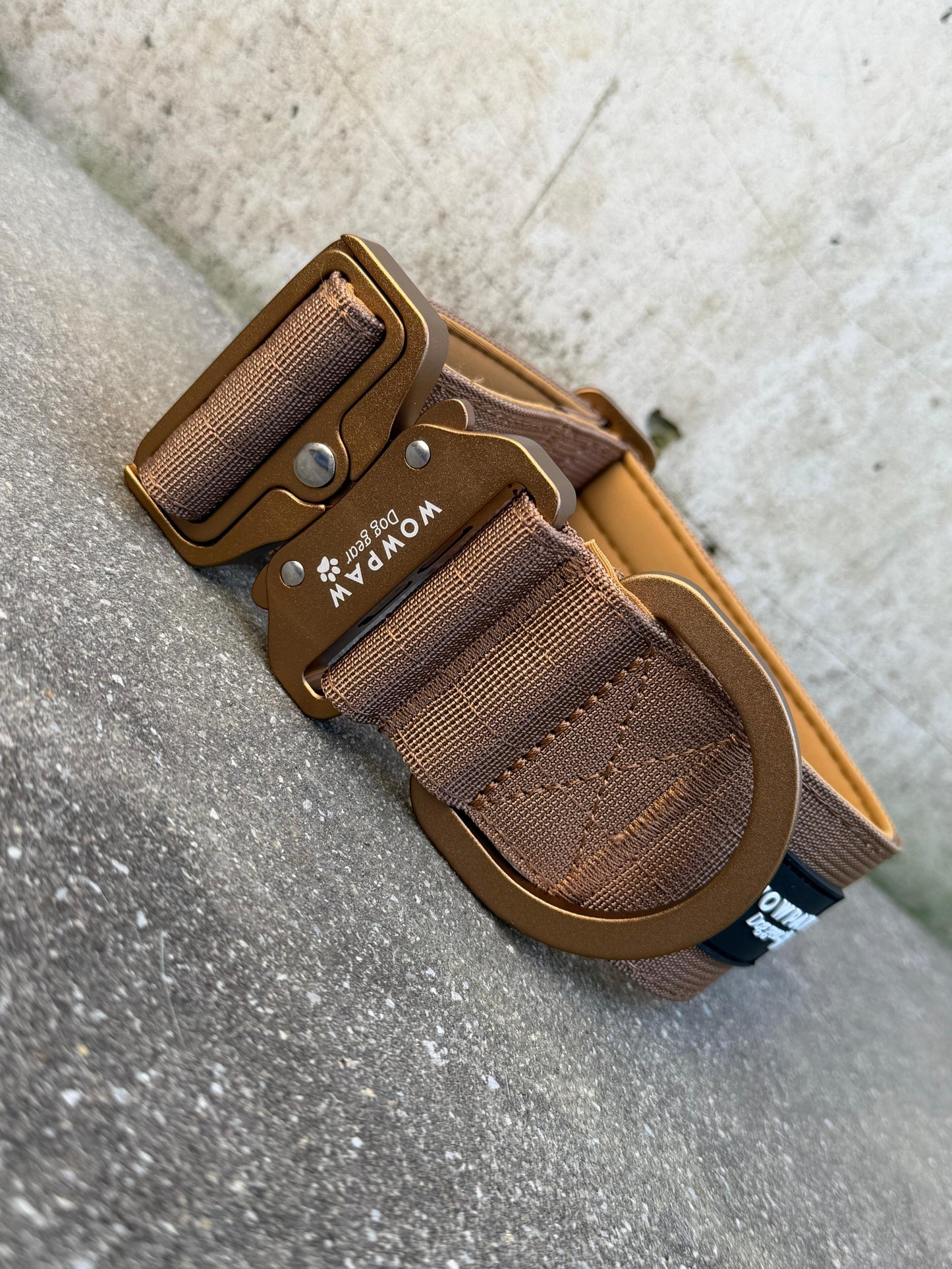 Collare tattico per cani di alta qualità blu royal taglia M