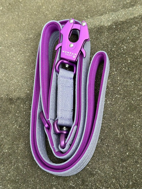 Guinzaglio tattico per cani con moschettone a rana, girevole a 360°, lunghezza 1,8 menta / oro rosa