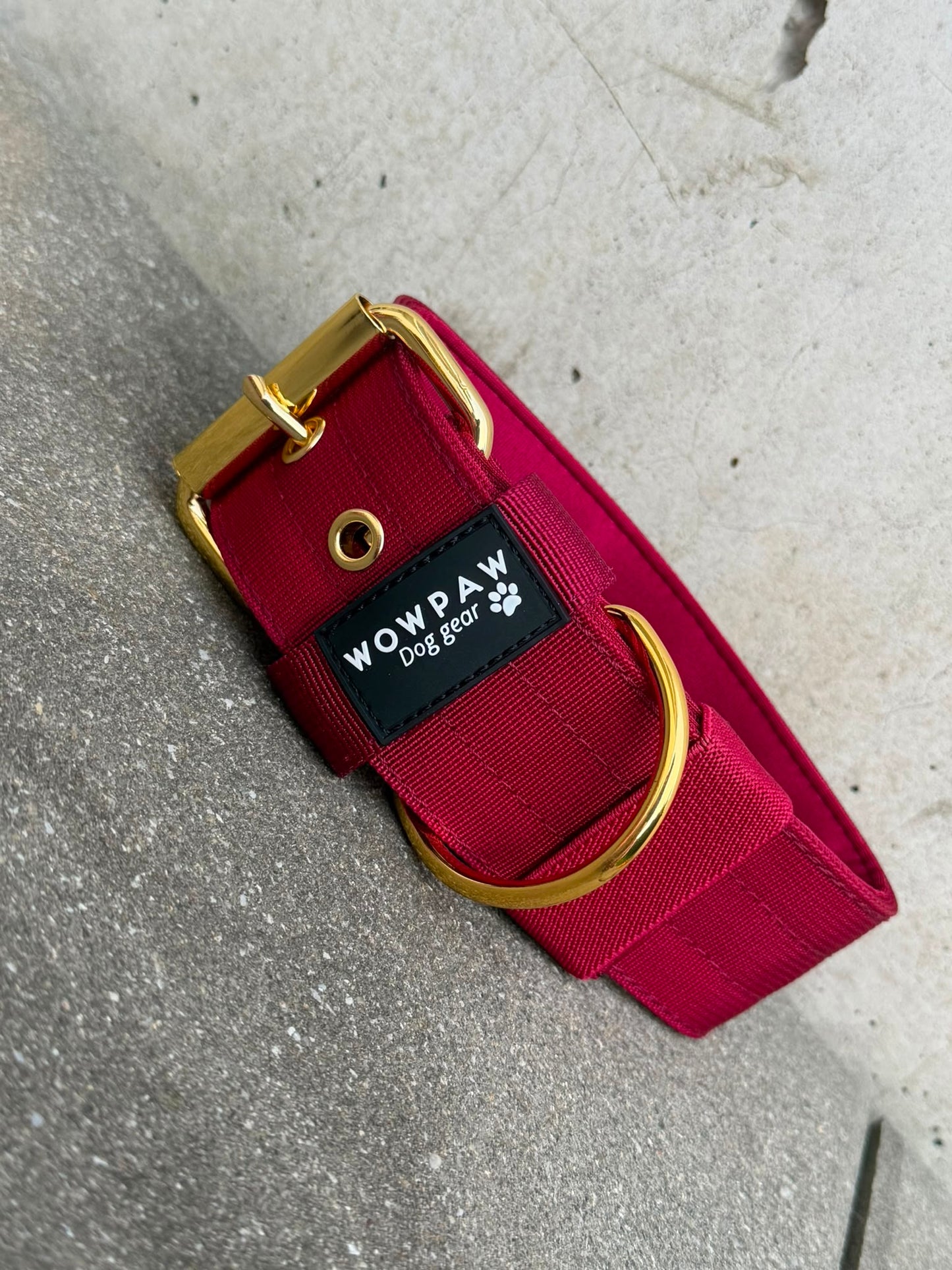 Collare per cani basic di alta qualità arancione neon taglia M
