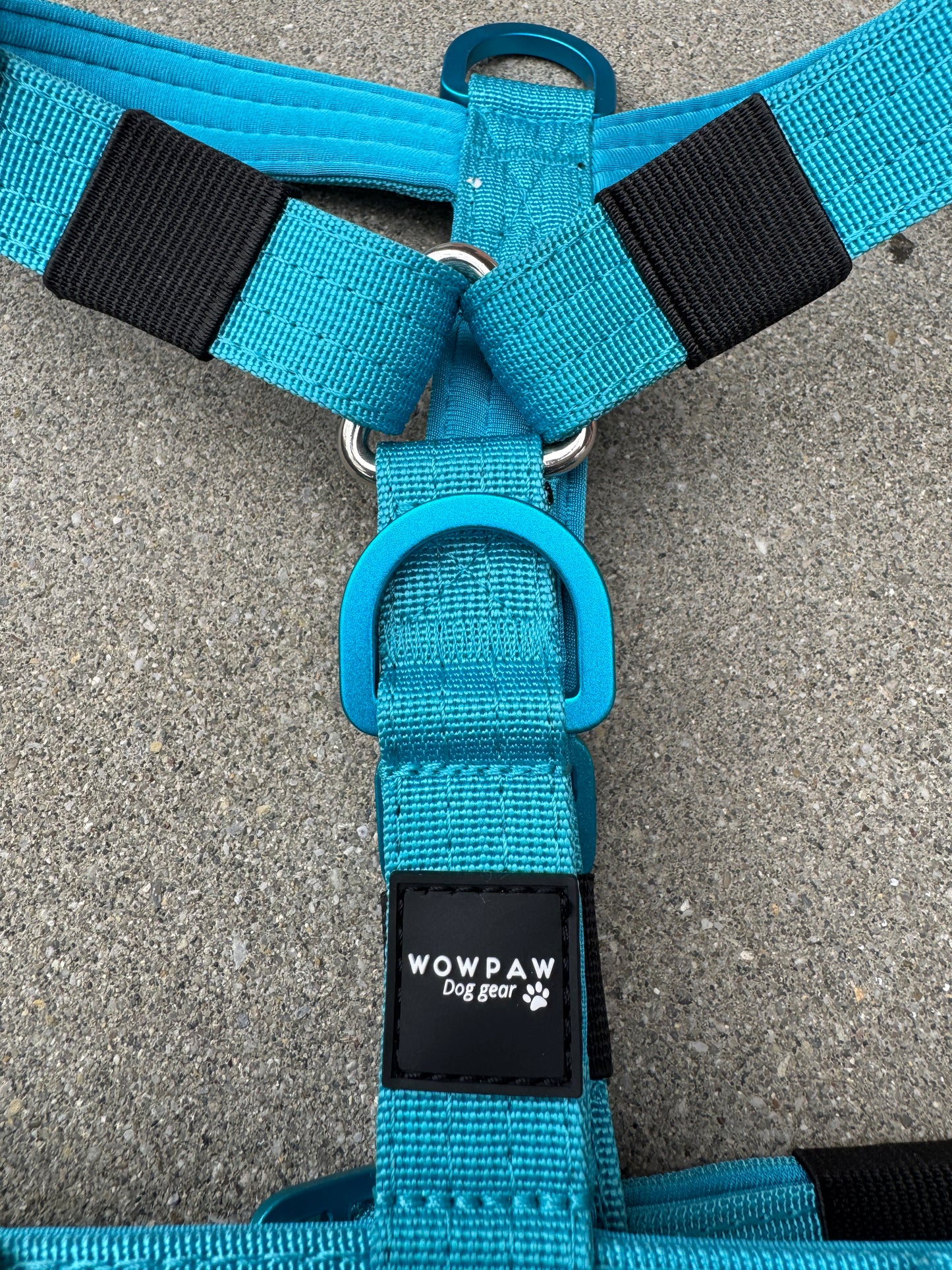 Hochwertiges Hundegeschirr XS Hellblau Edition