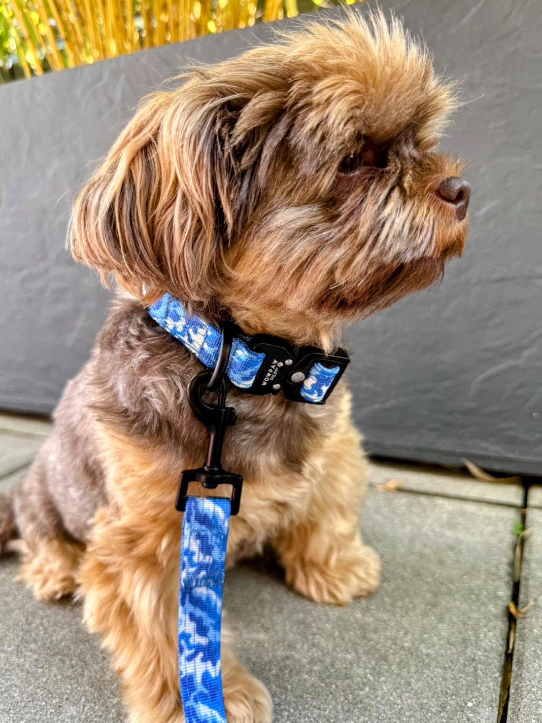 Standard Hundeleine SOFTLINE XS 1,5m Blau Camo