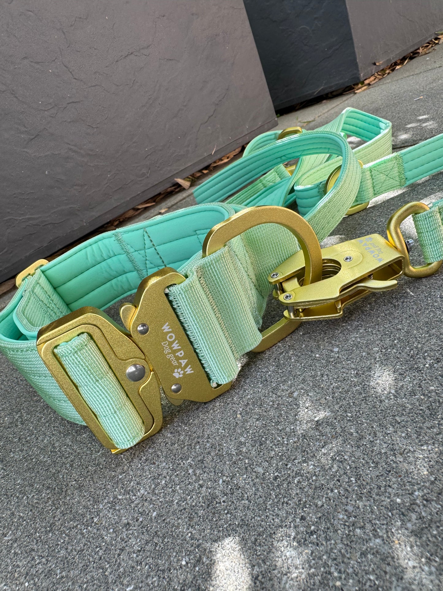 Smycz taktyczna dla psa ULTRA LIGHT Sky Blue Edition, długość 2m regulowana