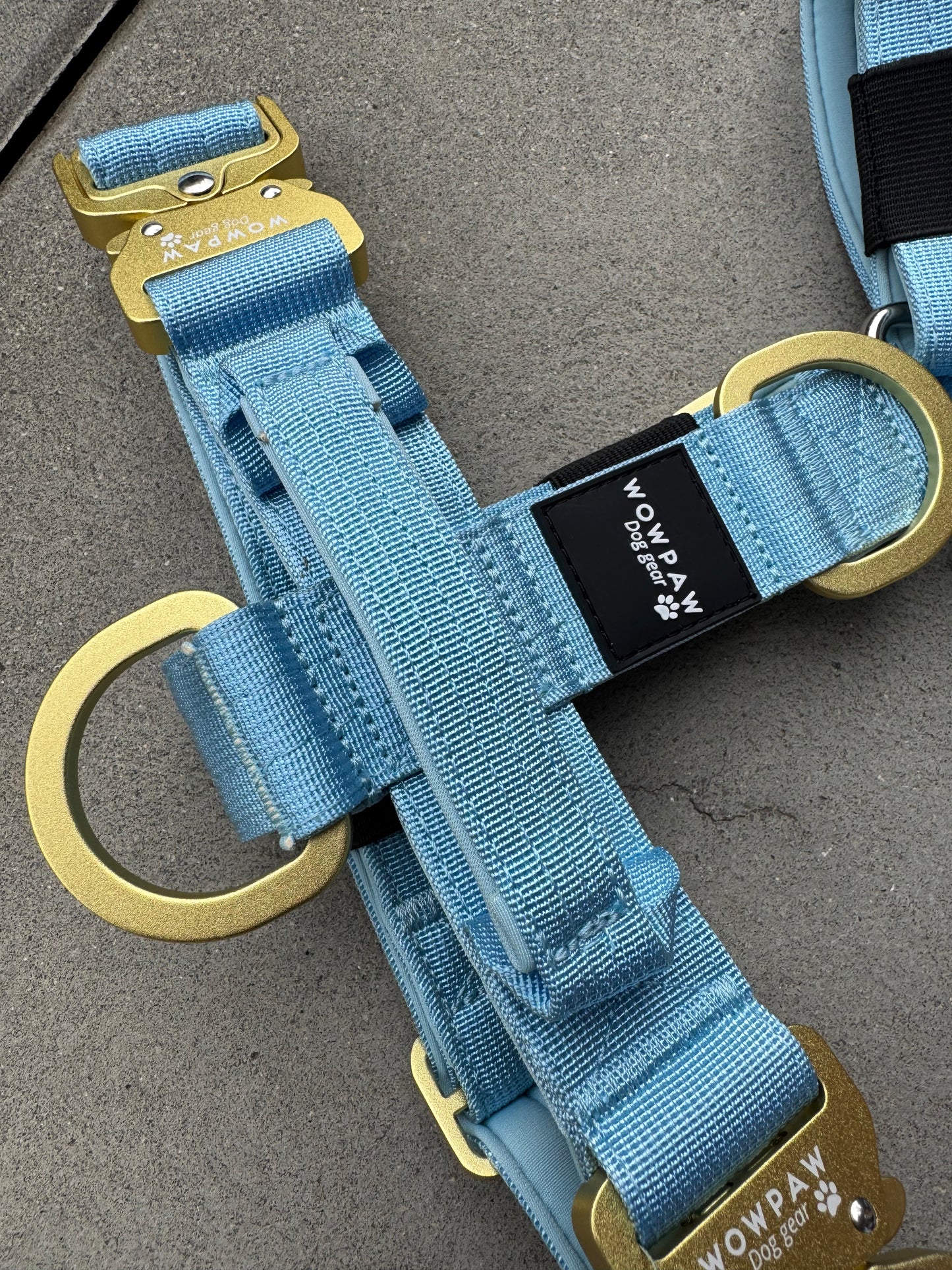 Hochwertiges Hundegeschirr S Sky Blue Edition