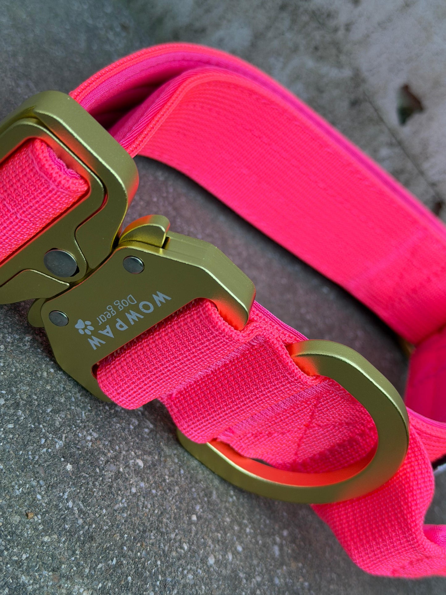 Obroża taktyczna dla psa ULTRA LIGHT Sky Blue Edition S