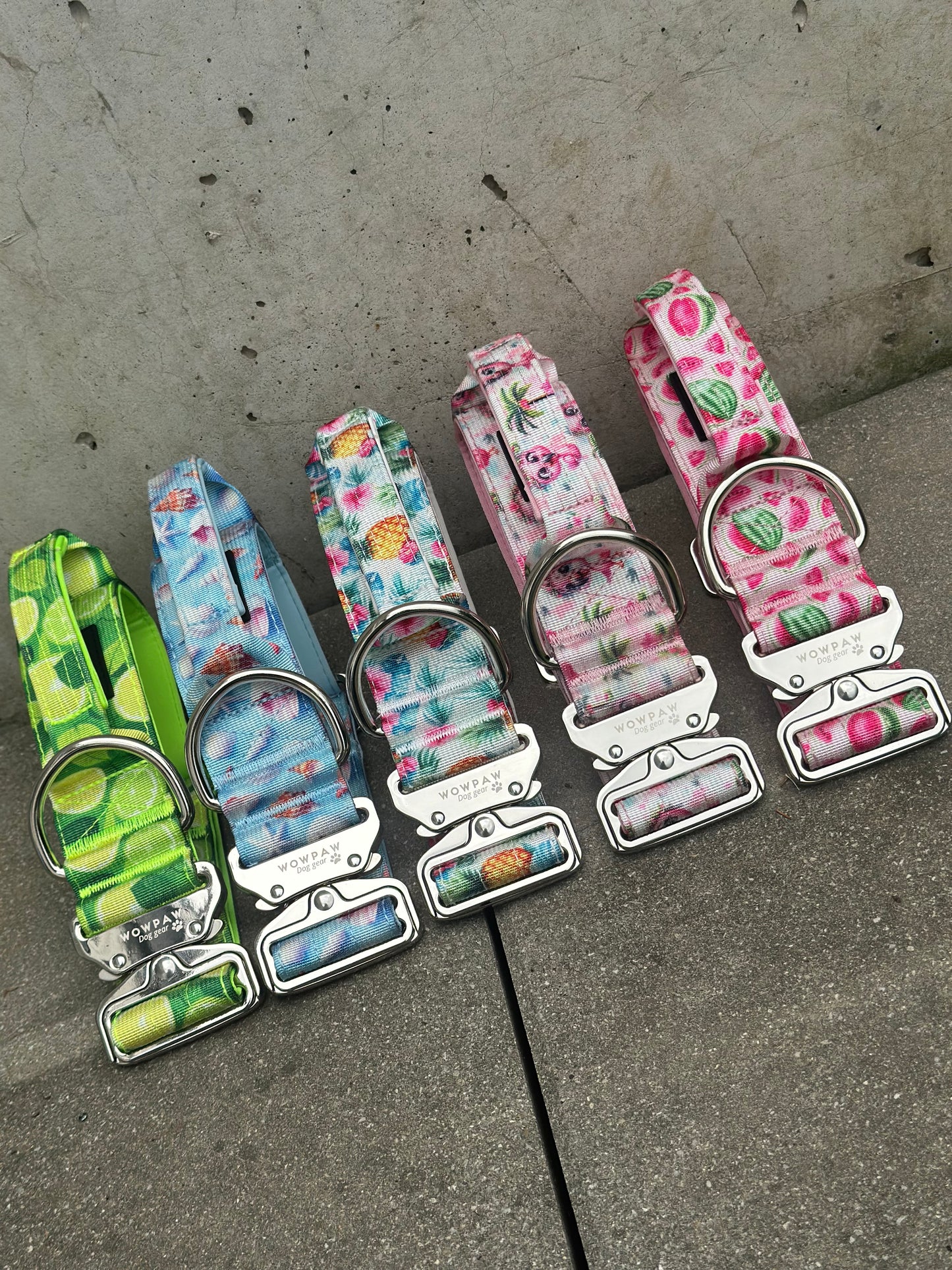 Wysokiej jakości taktyczna obroża dla psa szara rozmiar M szerokość 3,8 cm