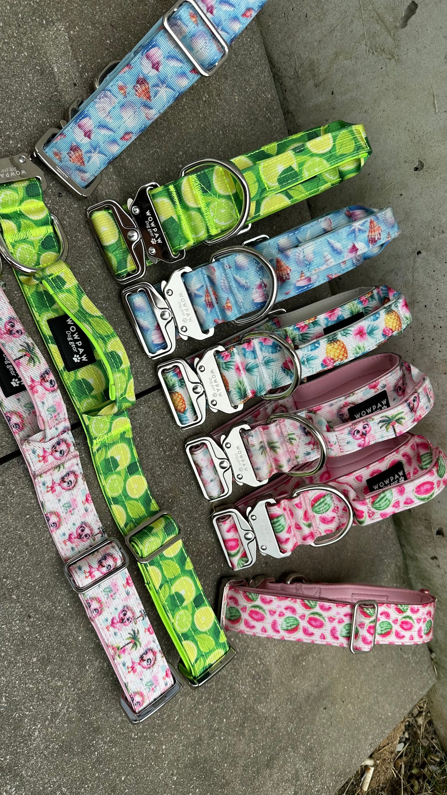 Wysokiej jakości takticzne Hundehalsband LIMITOWANA WASSERMELONEN Edycja M