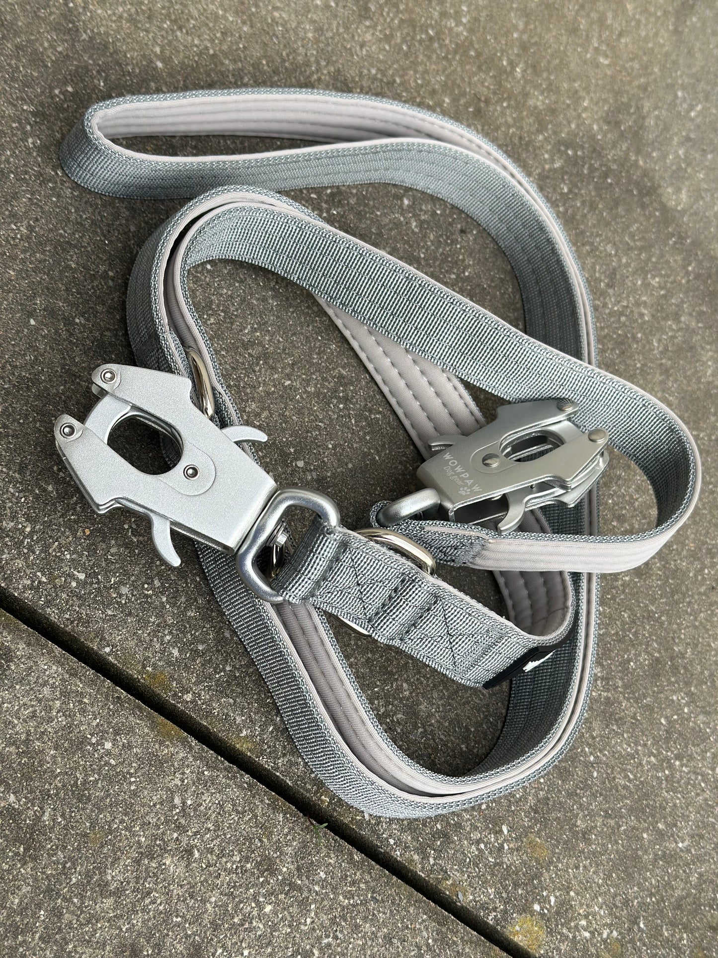 Taktische Hundeleine mit Froschkarabiner 360° drehbar, Länge 2m, verstellbar, Grau/Silber