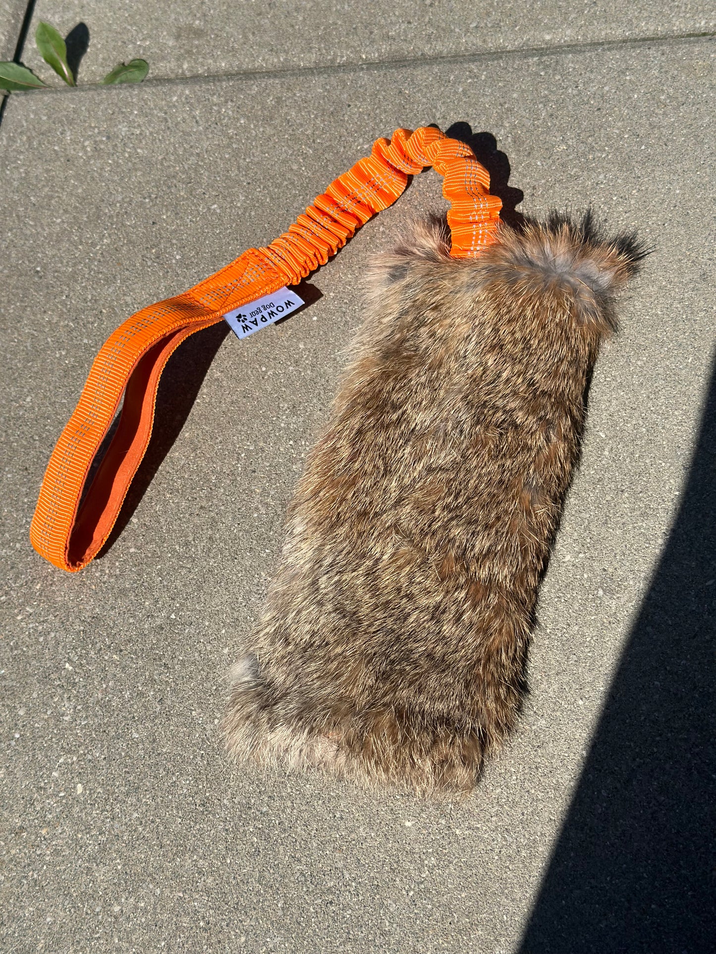 Bungee Zergel z FUTREM KRÓLIKA