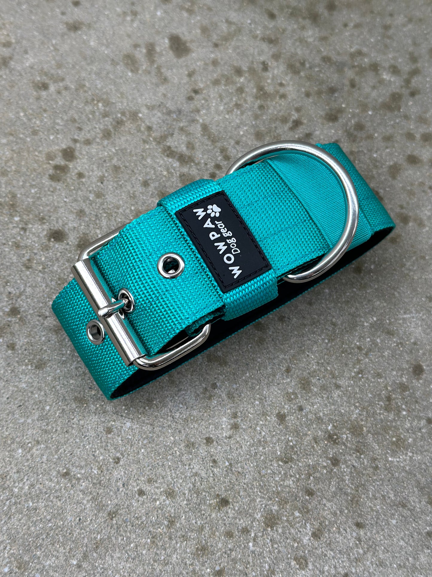 Wysokiej jakości podstawowa obroża dla psa w kolorze turkusowym w rozmiarze S