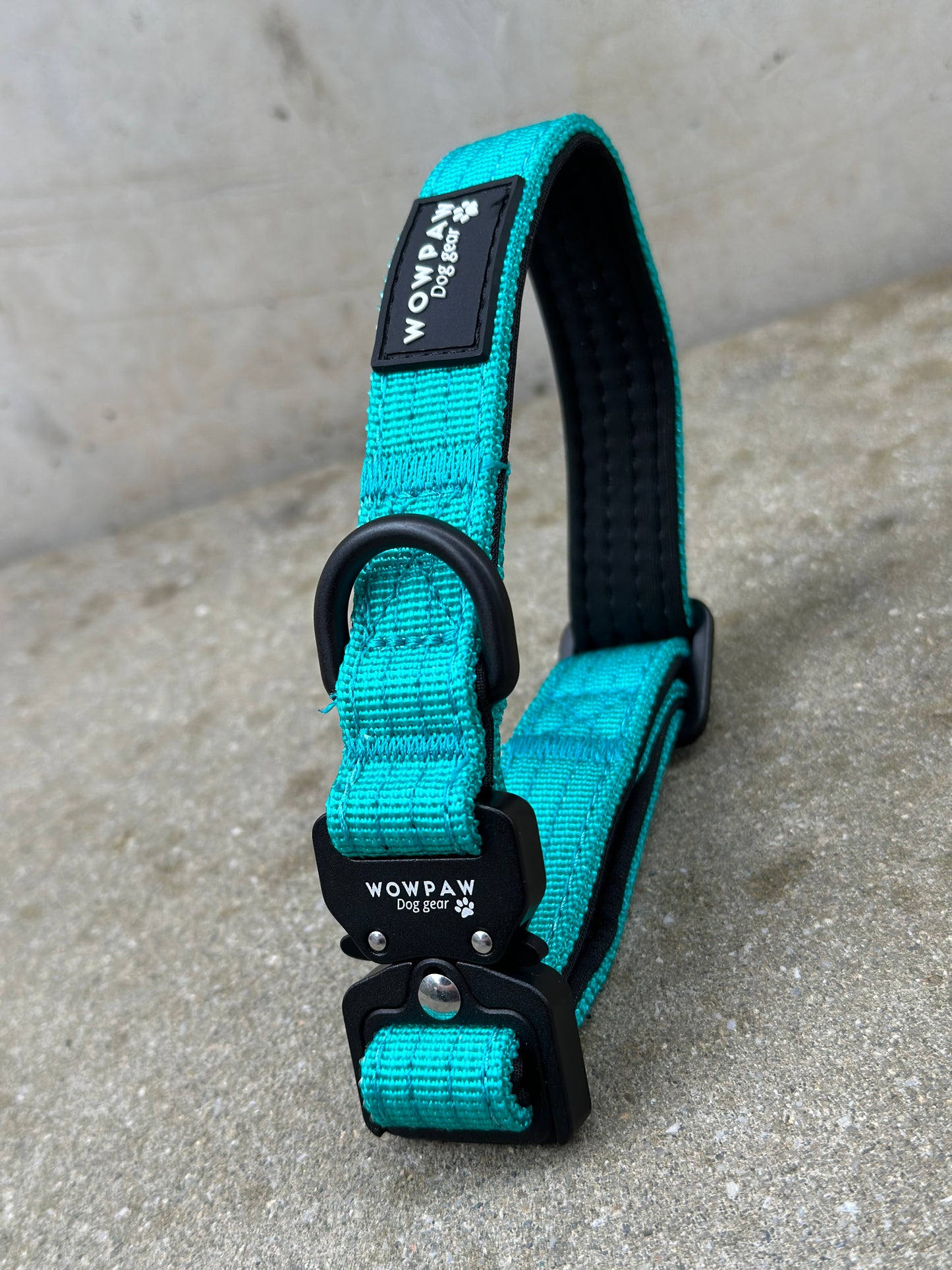 Collare per cani tattico di alta qualità 2,5 cm arancione neon taglia XS