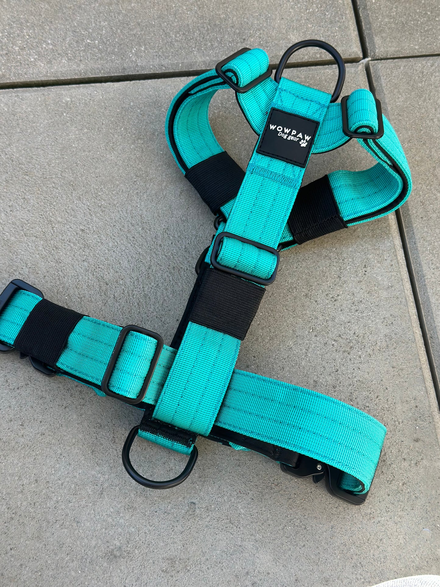 Wysokiej jakości szelki dla psa S turkusowe