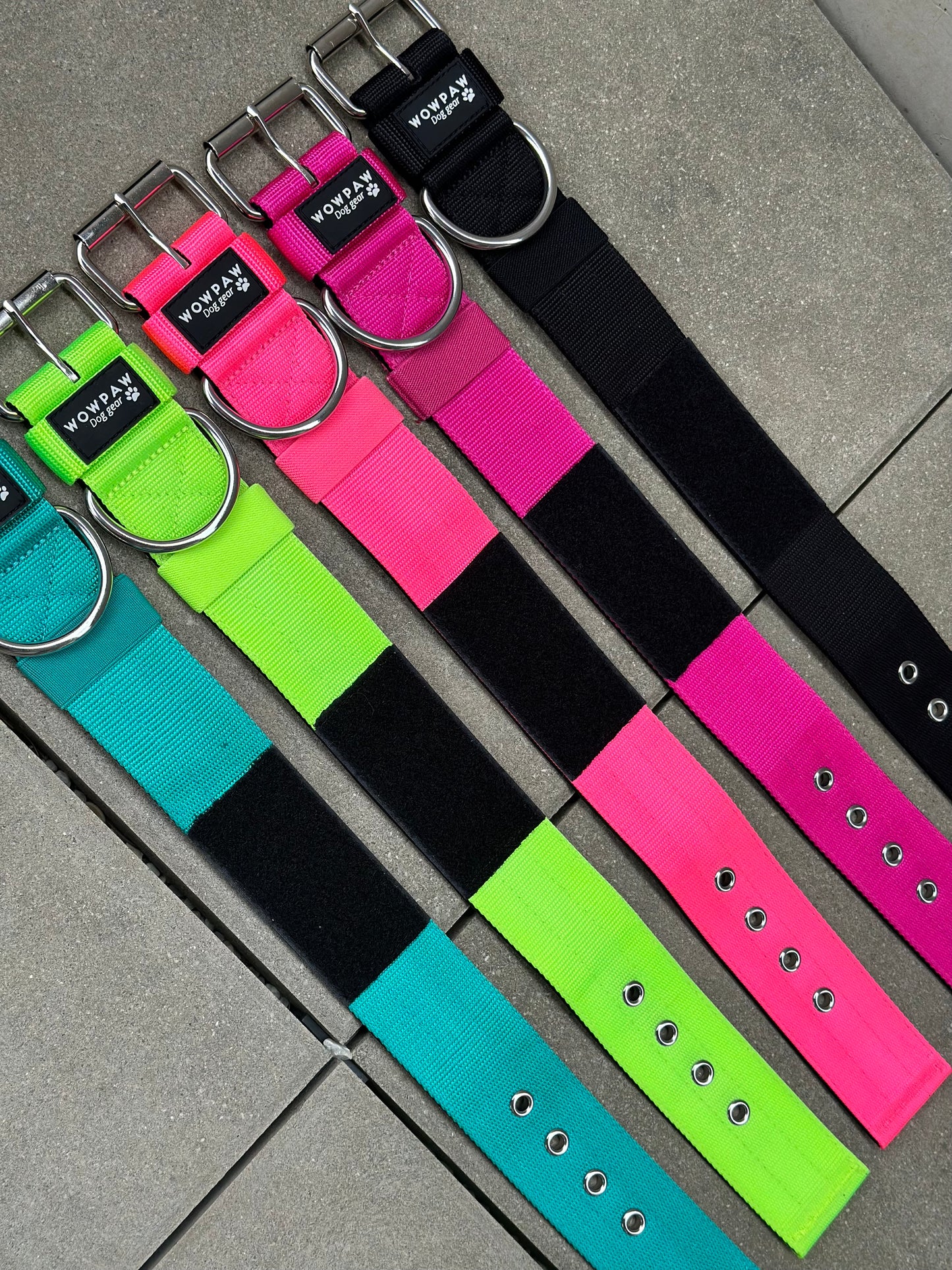 Collare per cani basic di alta qualità verde neon taglia M