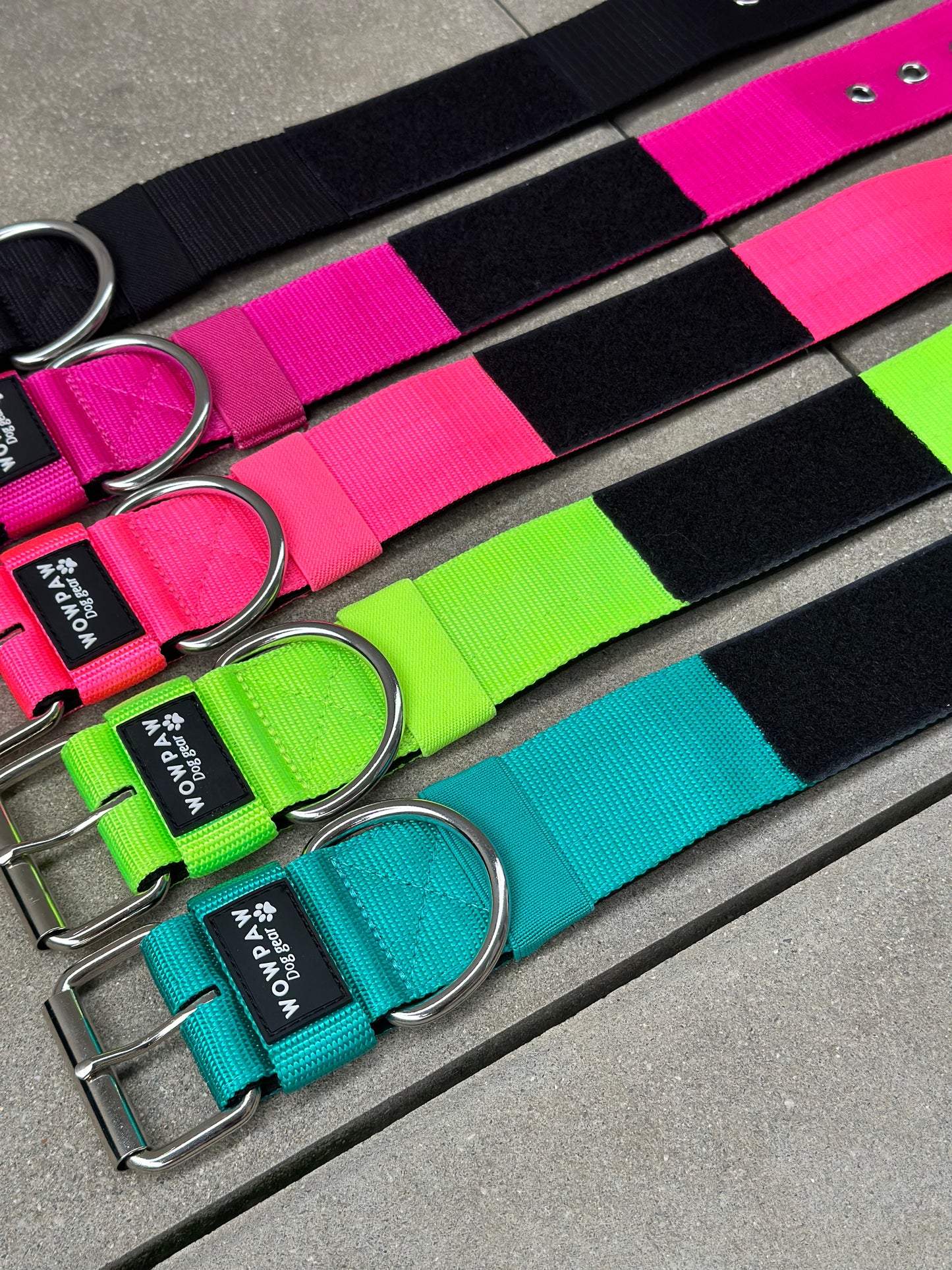 Collare per cani basic di alta qualità verde neon taglia M