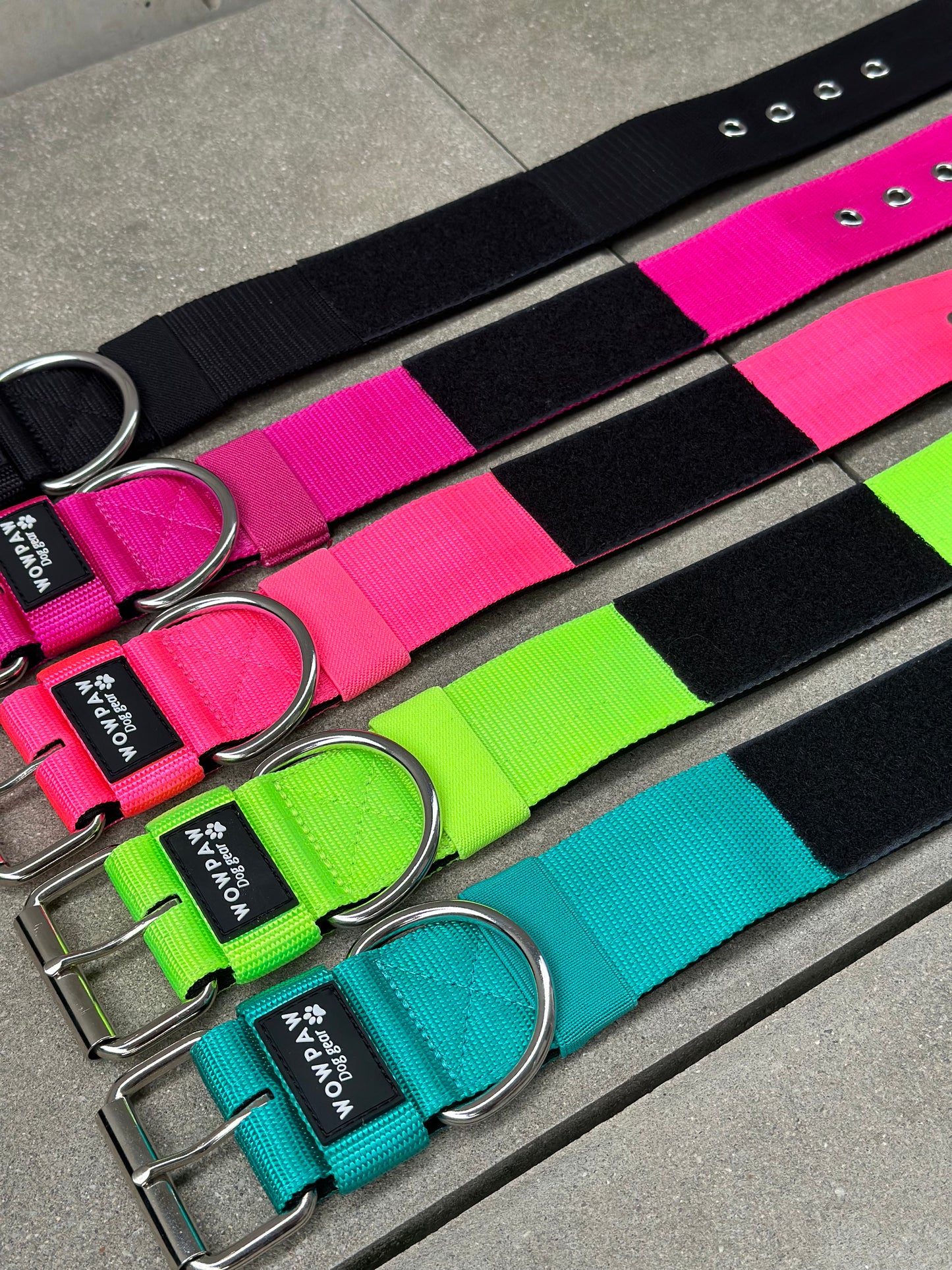 Wysokiej jakości obroża dla psa Basic Patch w kolorze neonowego różu, rozmiar S