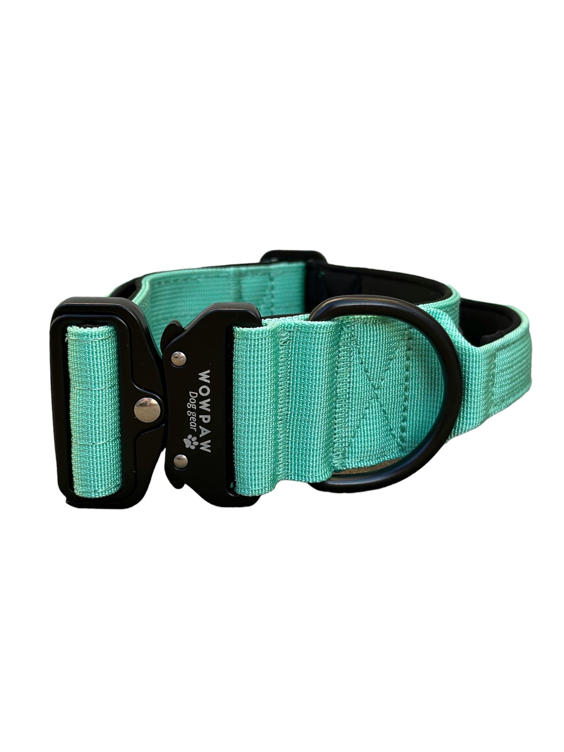 Hochwertiges taktisches Hundehalsband Mint Gre M  Wowpaw Online Shop