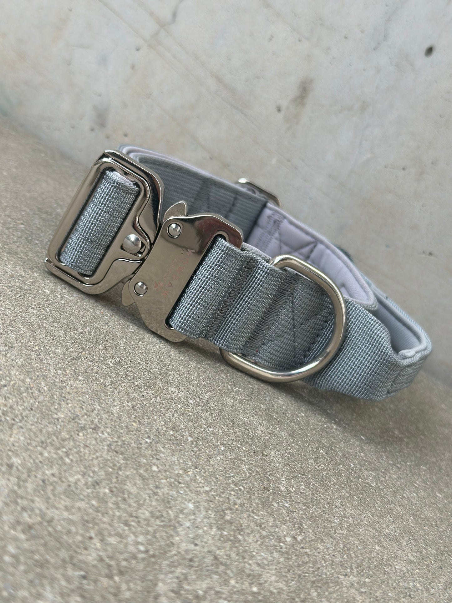 Collare tattico per cani di alta qualità turchese taglia S larghezza 4 cm