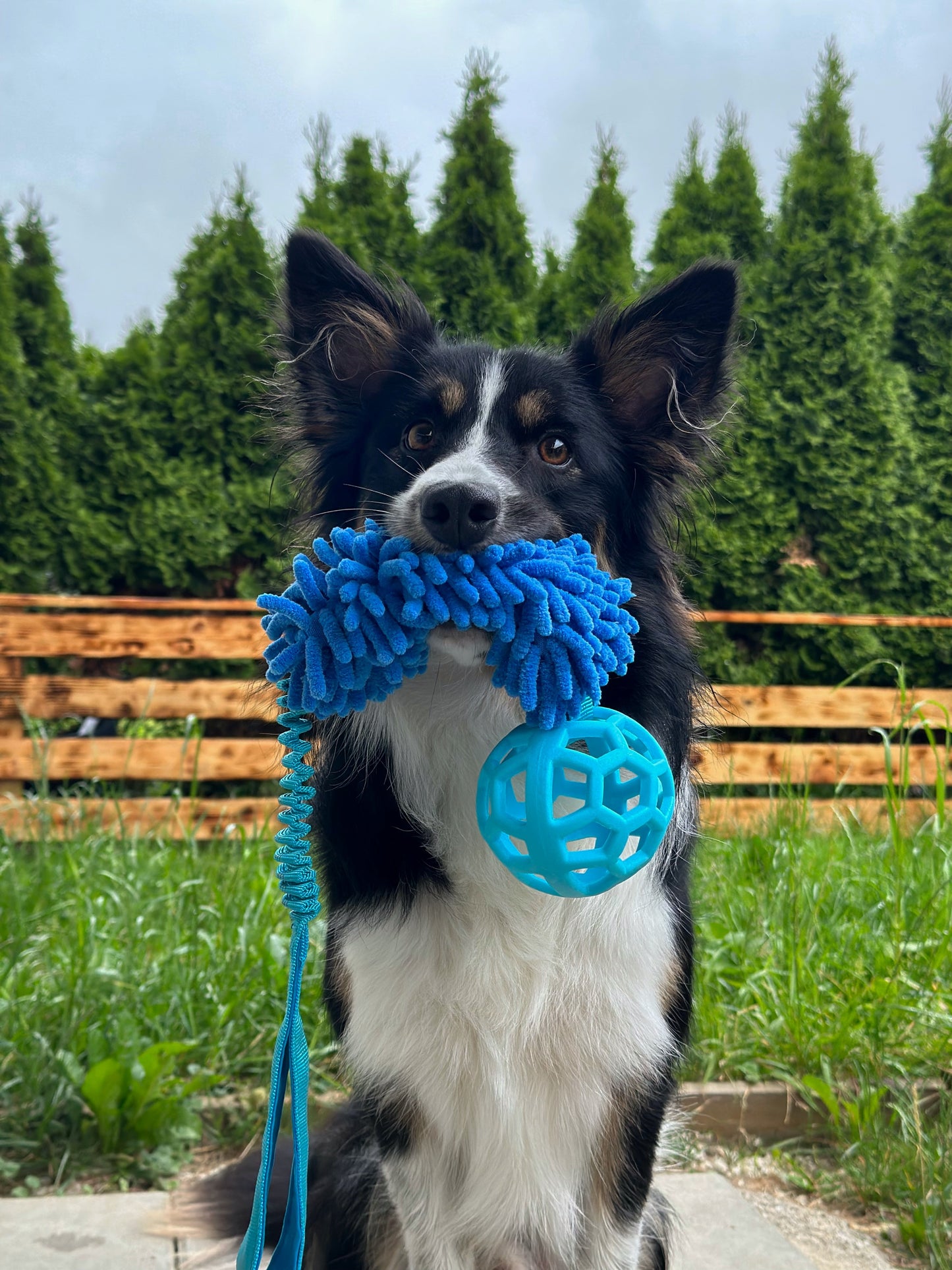 Bungee Zergel z piłką różowy, niebieski i pomarańczowy