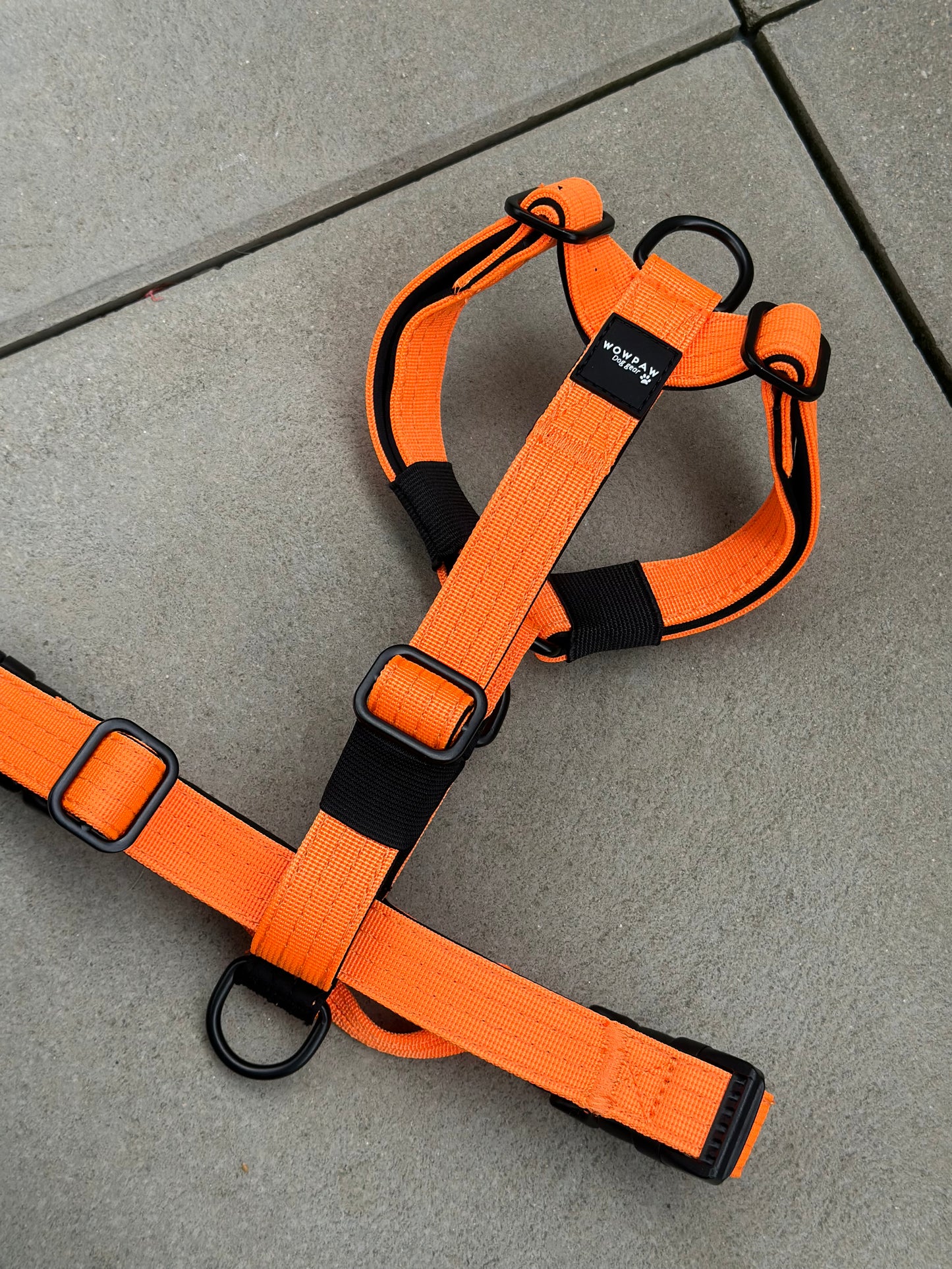 Wysokiej jakości szelki dla psa XS w neonowym kolorze pomarańczowym