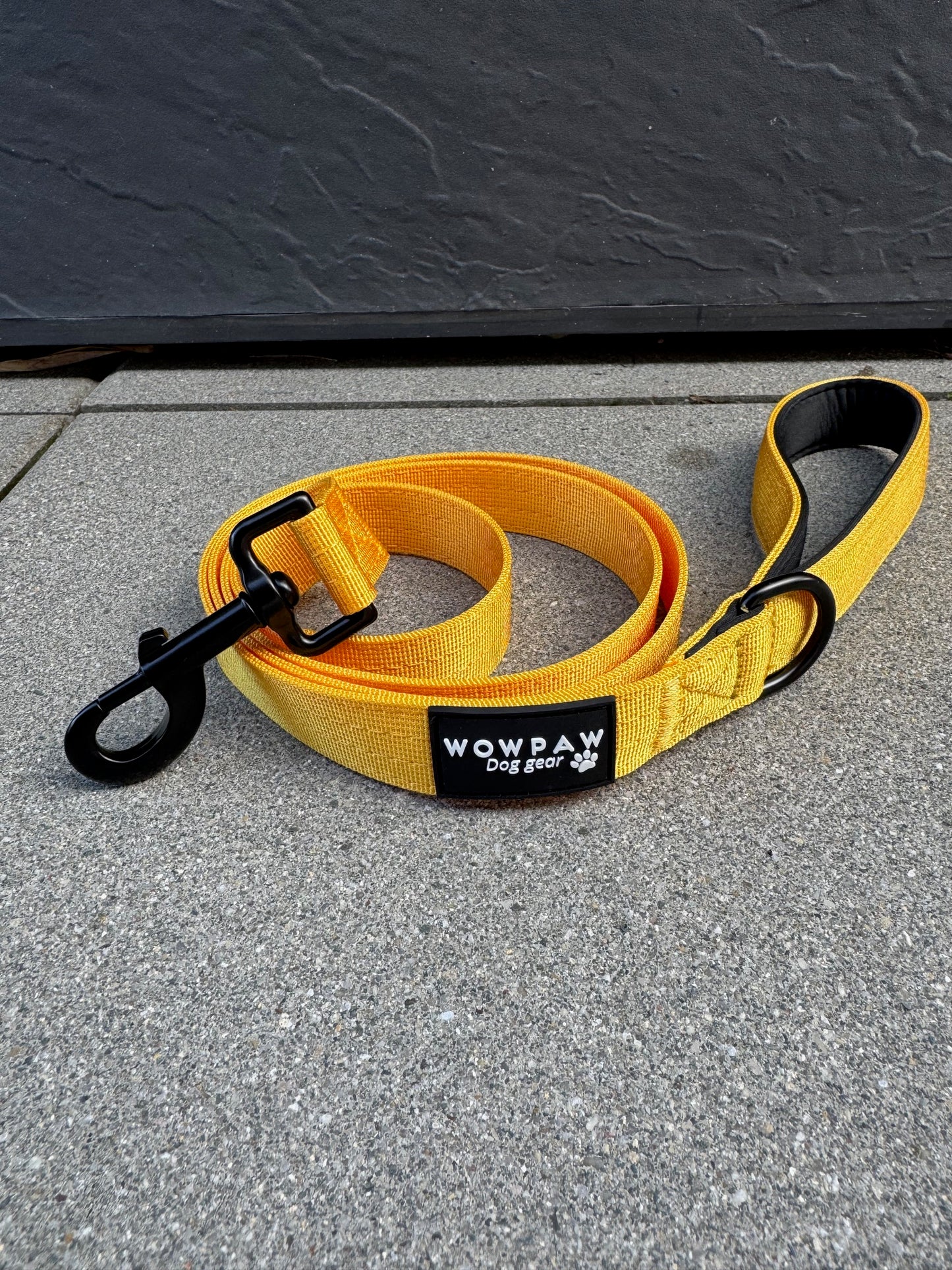 Standard Hundeleine M Länge 1,5m Gelb