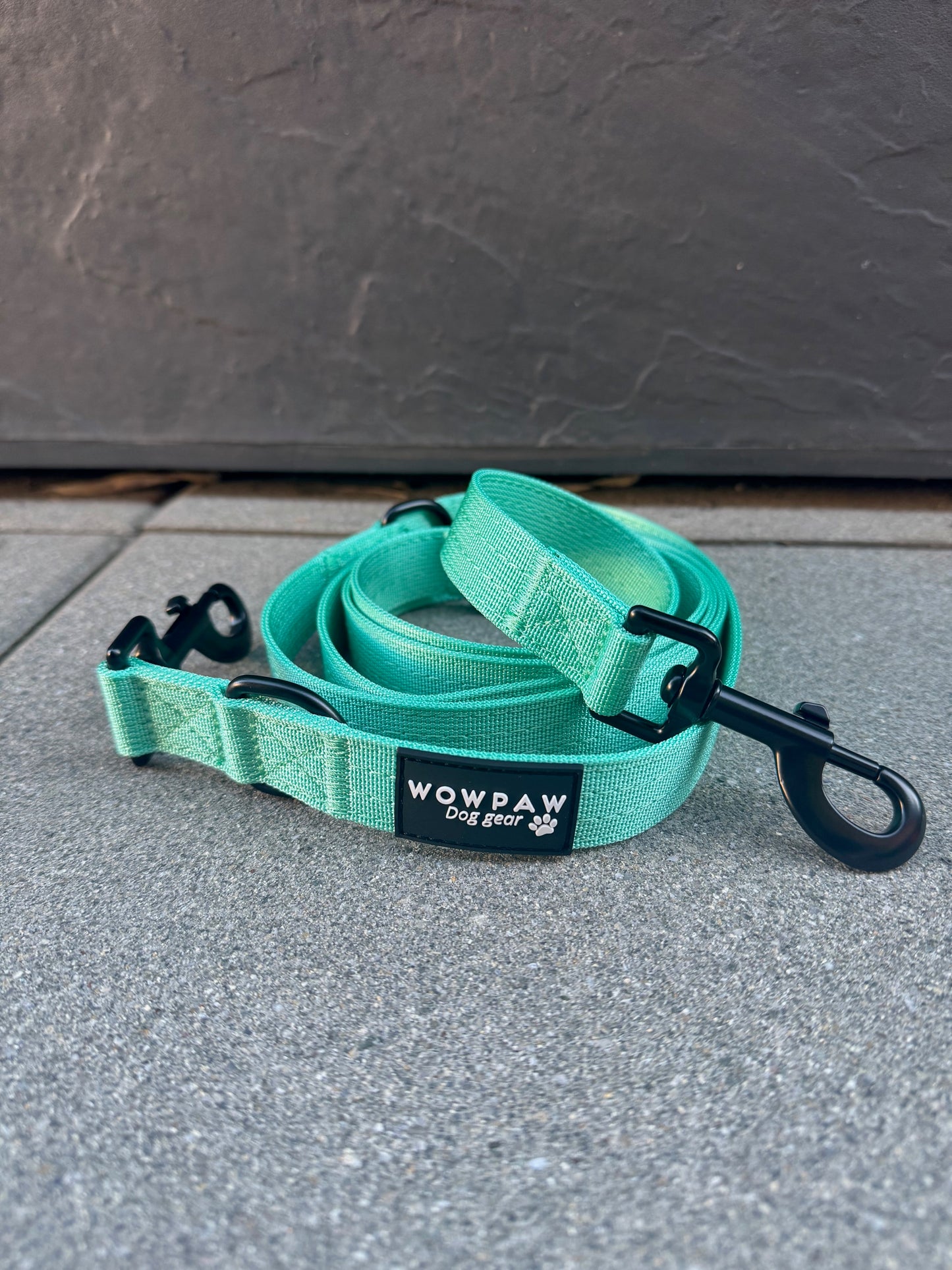 Standard Hundeleine S verstellbar Länge 2m Mint