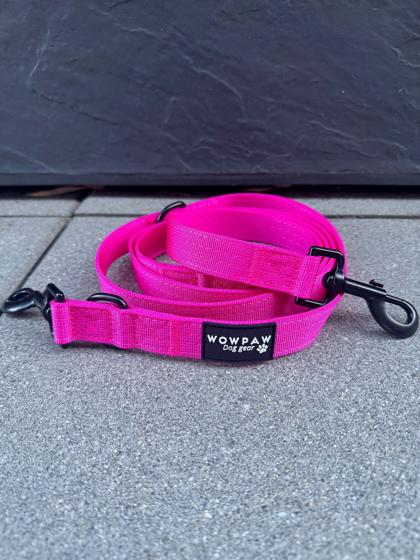 Standard Hundeleine M verstellbar Länge 2m Magenta