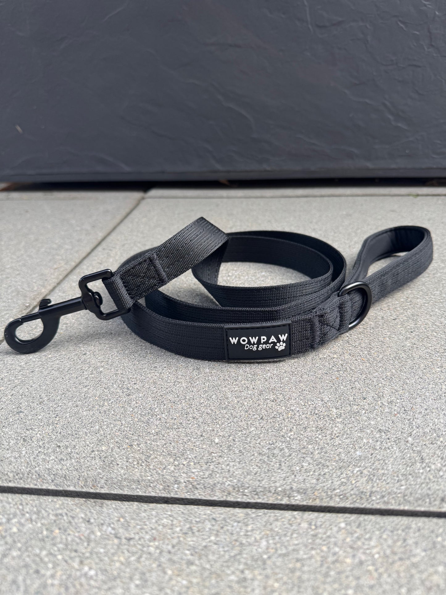 Standard Hundeleine M Länge 1,5m Schwarz