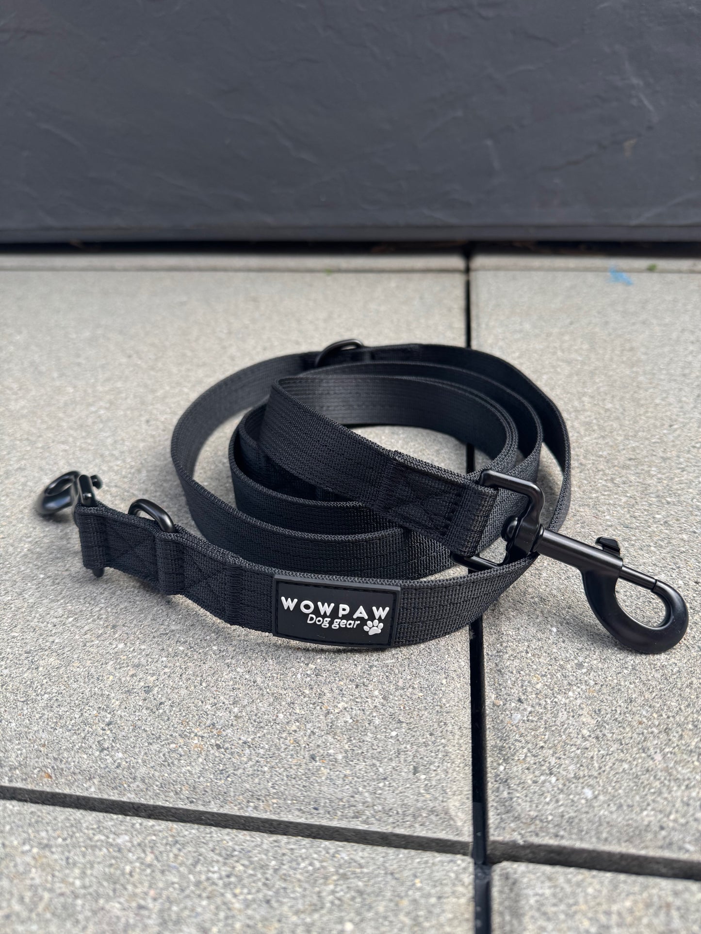 Standard Hundeleine M verstellbar Länge 2m Schwarz