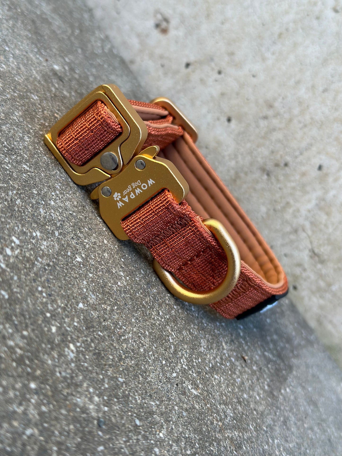 Collare per cani tattico di alta qualità 2,5 cm rosa fluo taglia XS