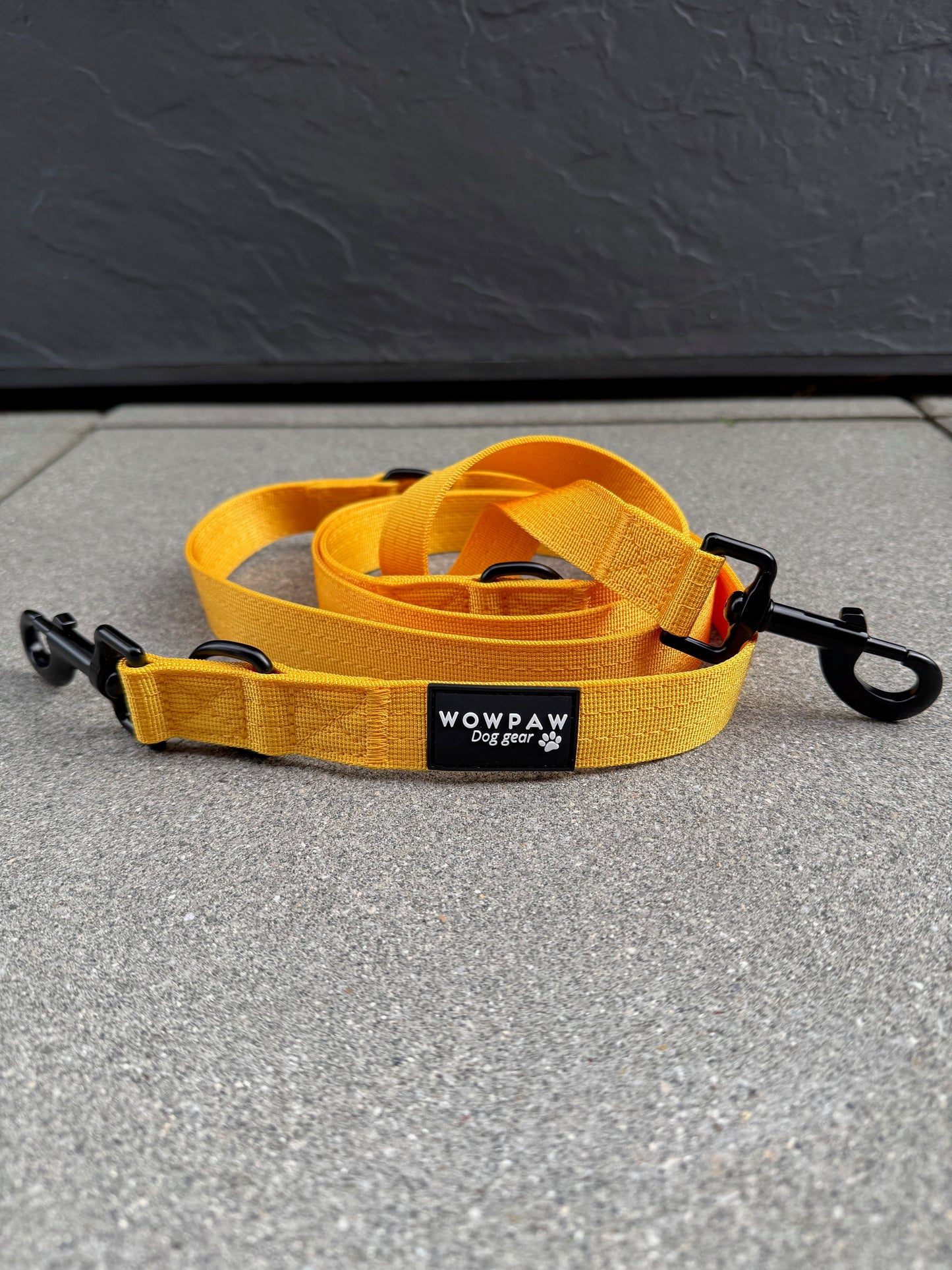 Standard Hundeleine M verstellbar Länge 2m Gelb