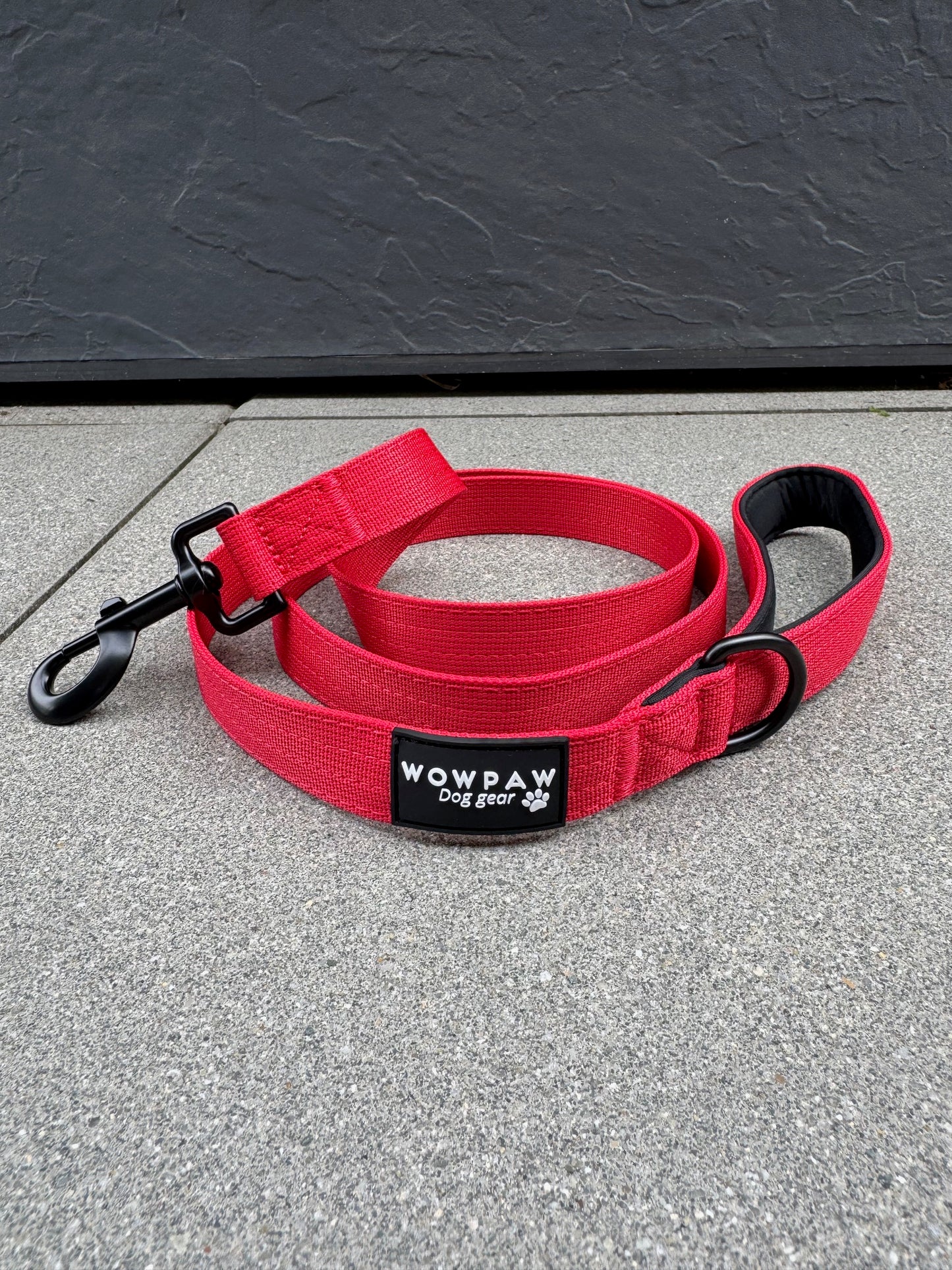 Standard Hundeleine M Länge 1,5m Rot