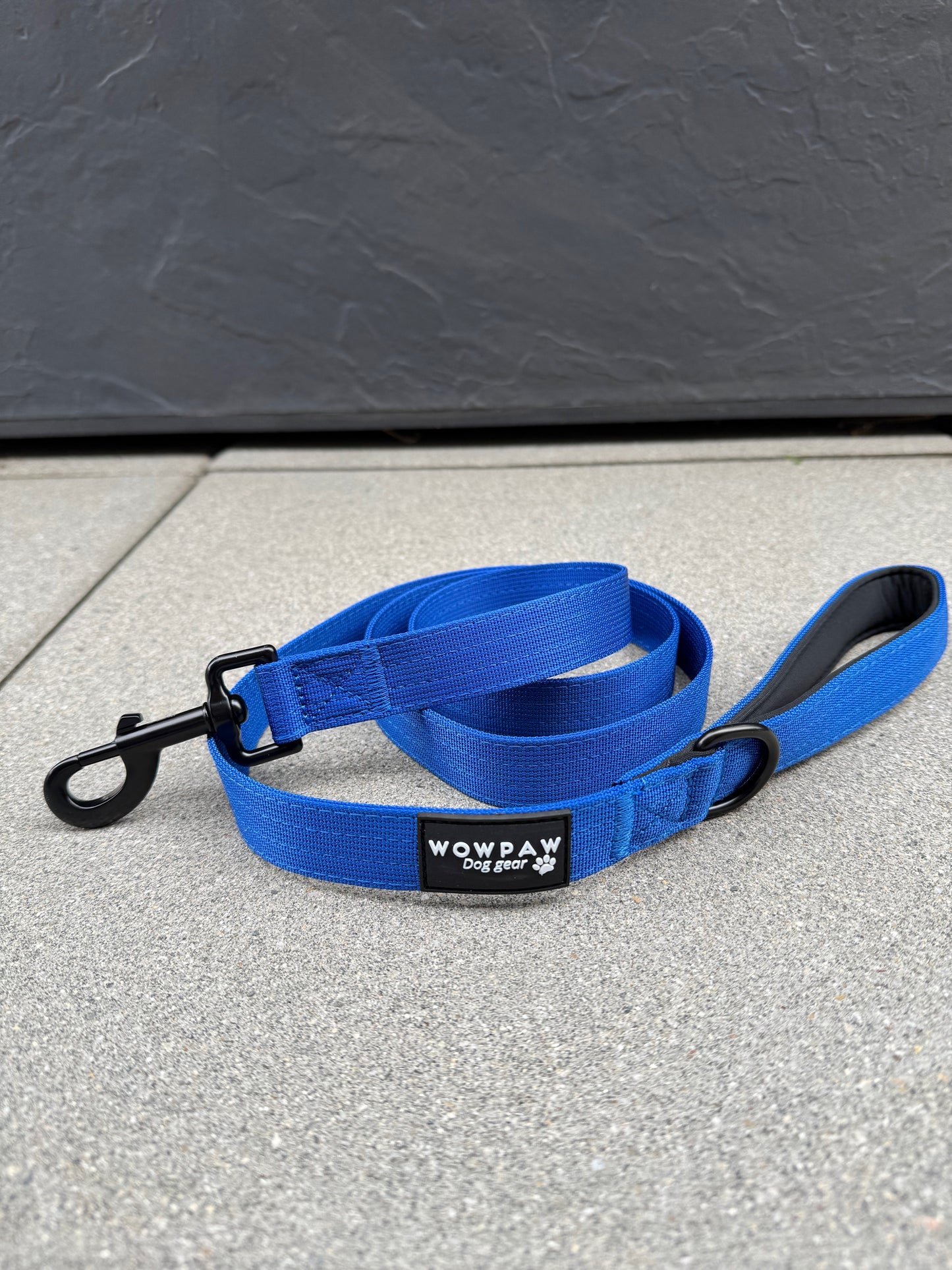 Standard Hundeleine M Länge 1,5m Blau