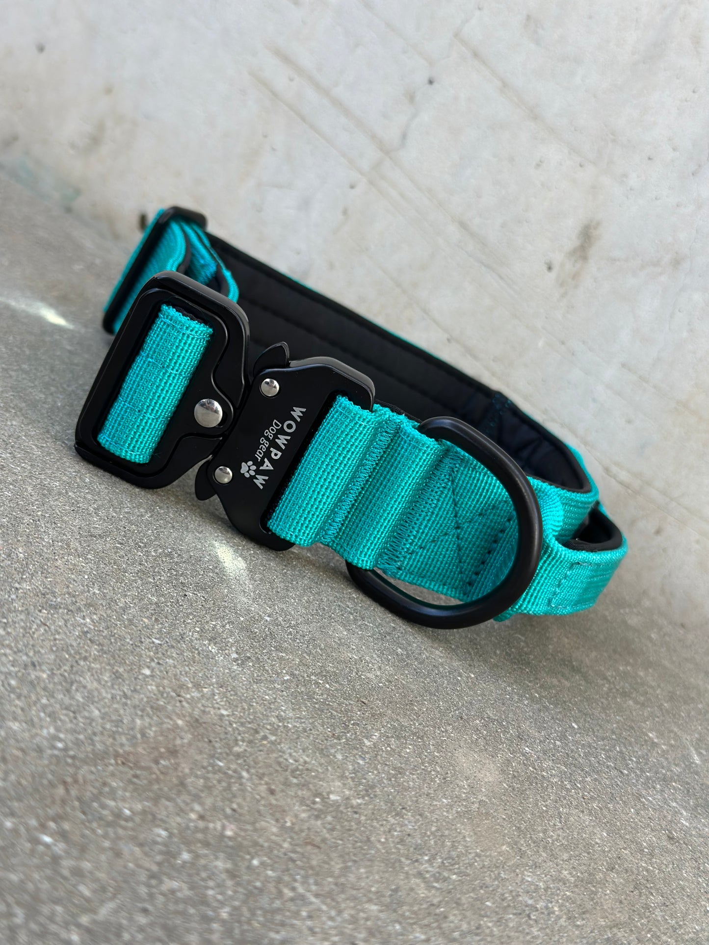 Wysokiej jakości taktyczna obroża dla psa turkusowa rozmiar S szerokość 3,8 cm