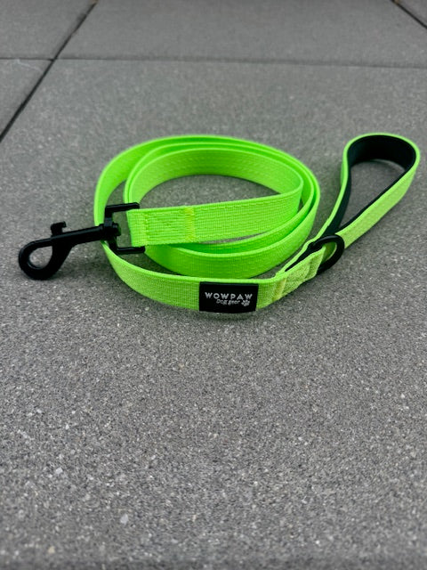 Standard Hundeleine S Länge 1,5m Neongrün