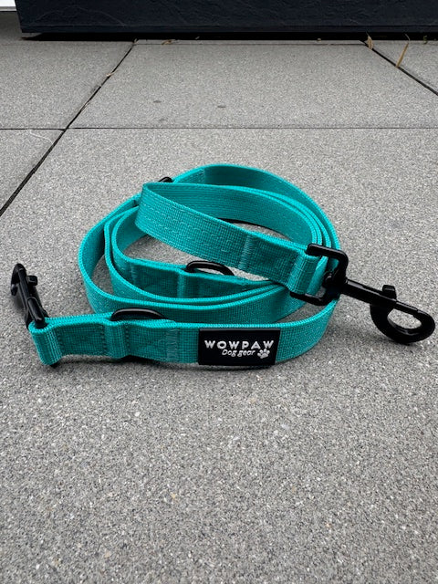 Standard Hundeleine M verstellbar Länge 2m Türkis