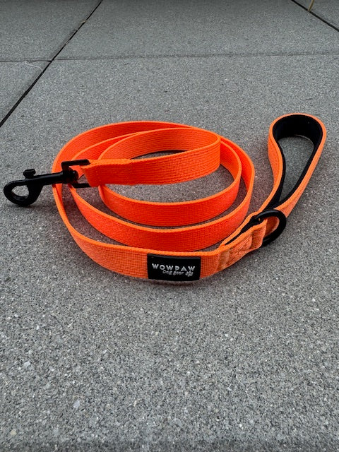 Standard Hundeleine S Länge 1,5m Neonorange