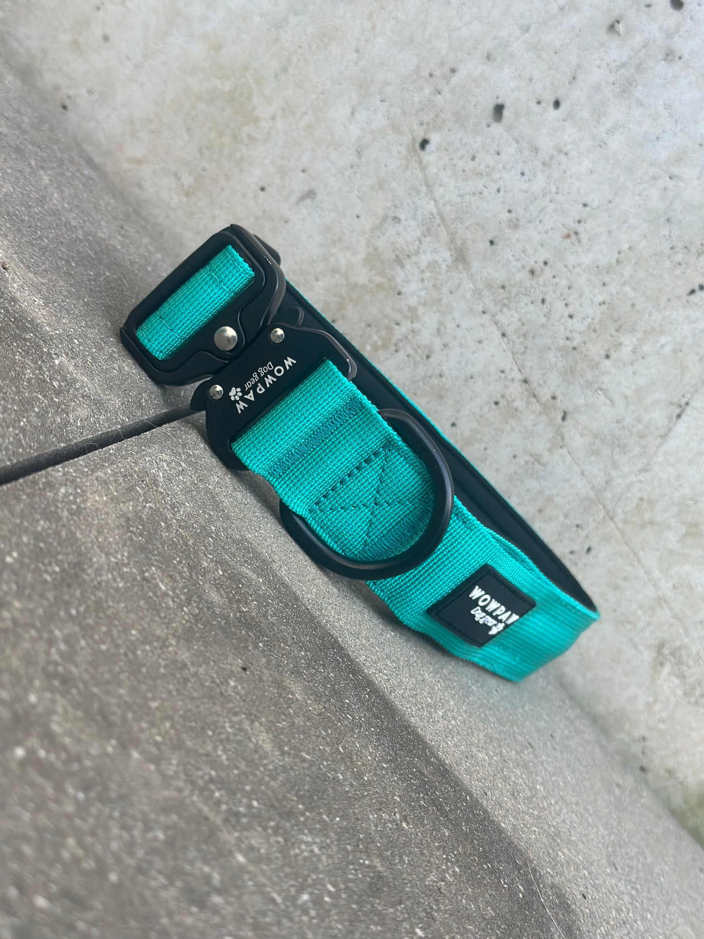 Obroża LED dla psa turkusowa rozmiar S szerokość 3,8cm