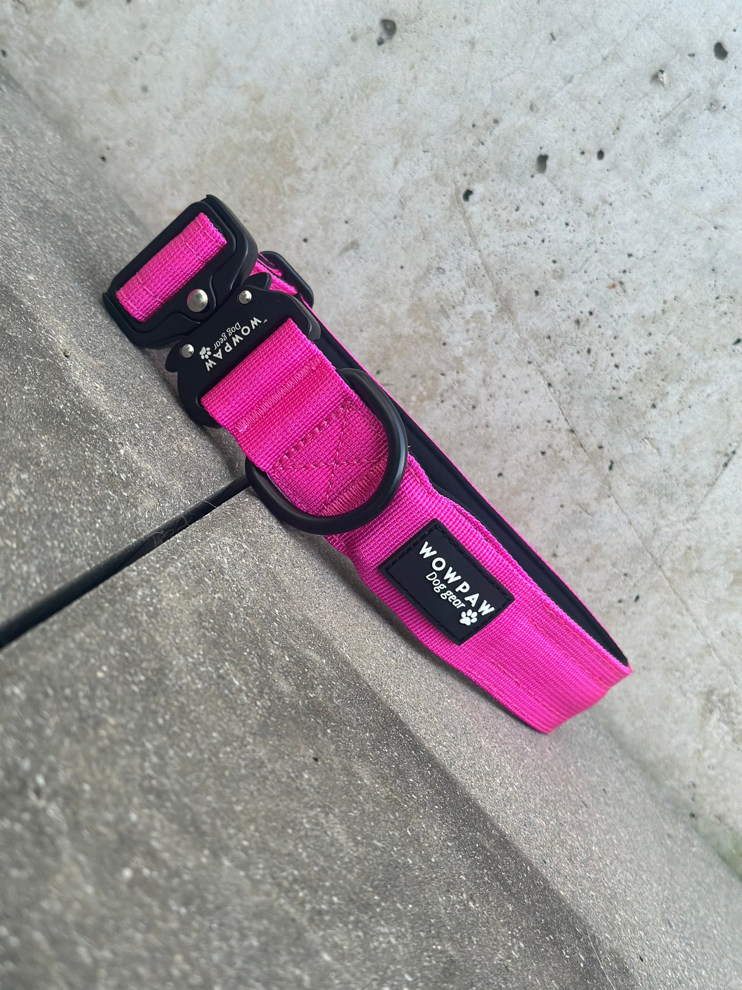 Obroża LED dla psa w kolorze magenta rozmiar S szerokość 3,8 cm